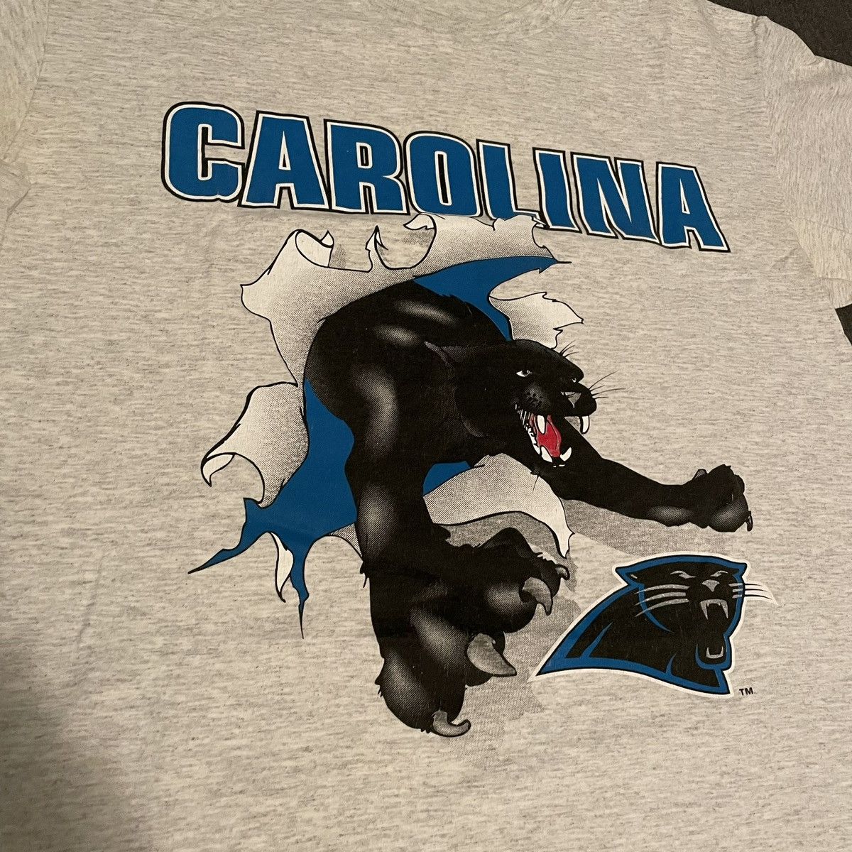 NFL × Nutmeg × Vintage Vintage 1993 NFL Carolina Panthers Break Thru Super Bowl Tee Size US L / EU 52-54 / 3 - 3 Thumbnail