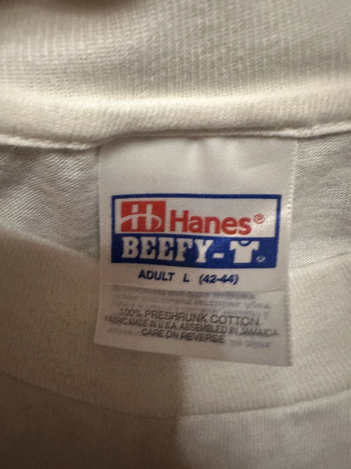 Hanes Vintage 90s Hanes Beefy ‘I’m Not In Denial’ Funny T-Shirt Size US L / EU 52-54 / 3 - 3 Thumbnail