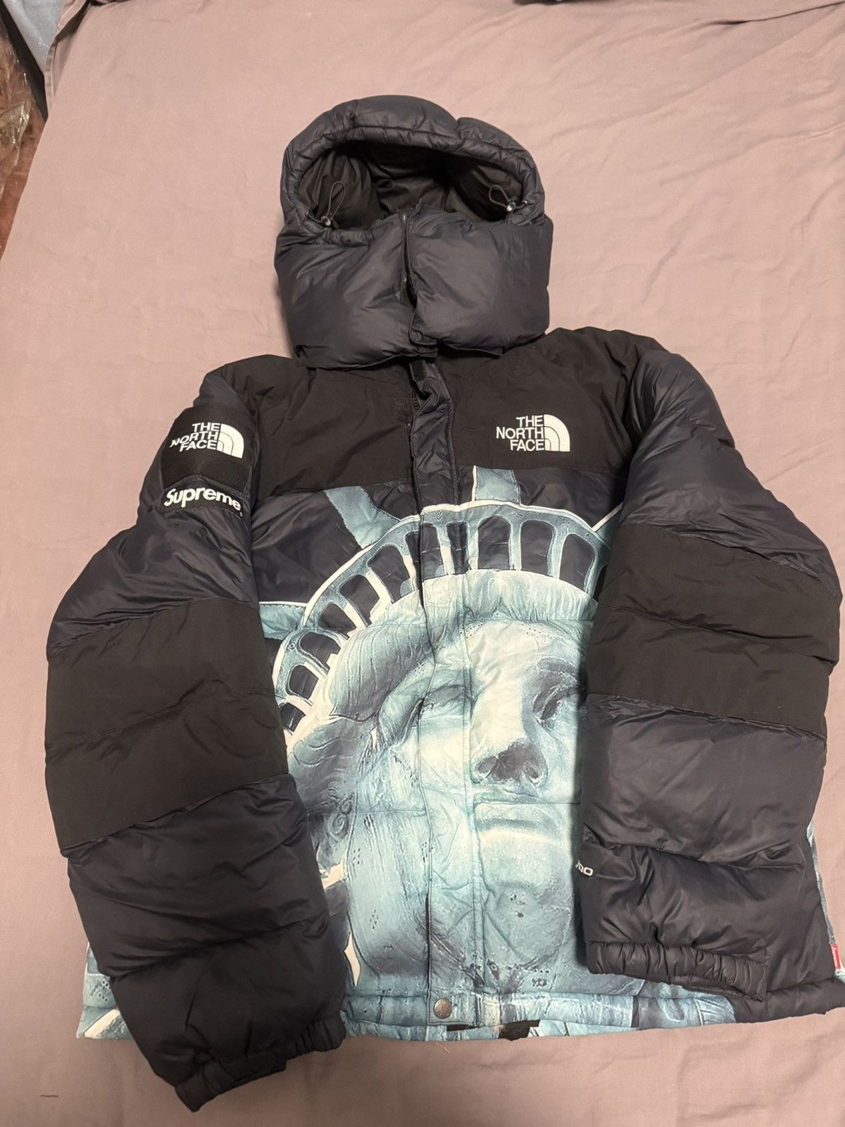 The North Face Supreme tnf north statue of liberty baltoro nuptse Jacket Size US M / EU 48-50 / 2 - 1 Thumbnail