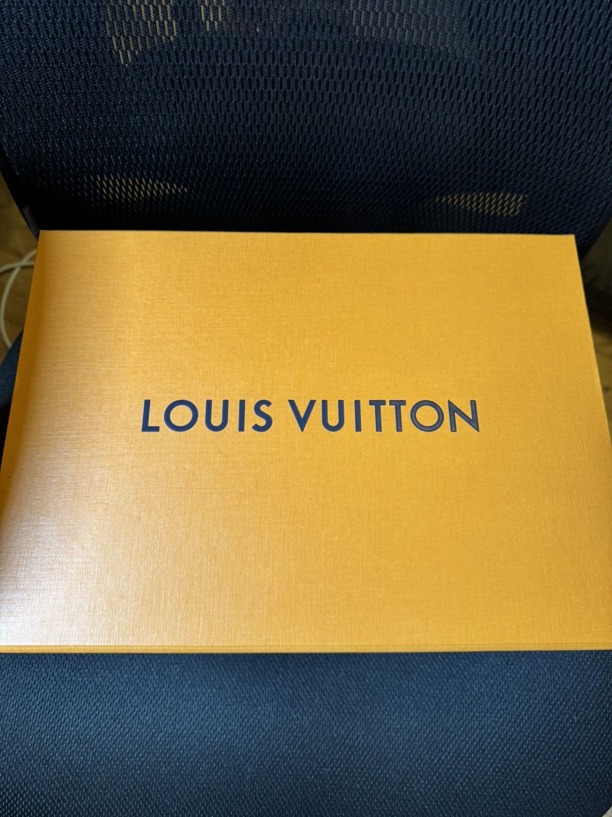 Louis Vuitton Louis Vuitton Skate Sneakers Size US 10.5 / EU 43-44 - 9 Thumbnail