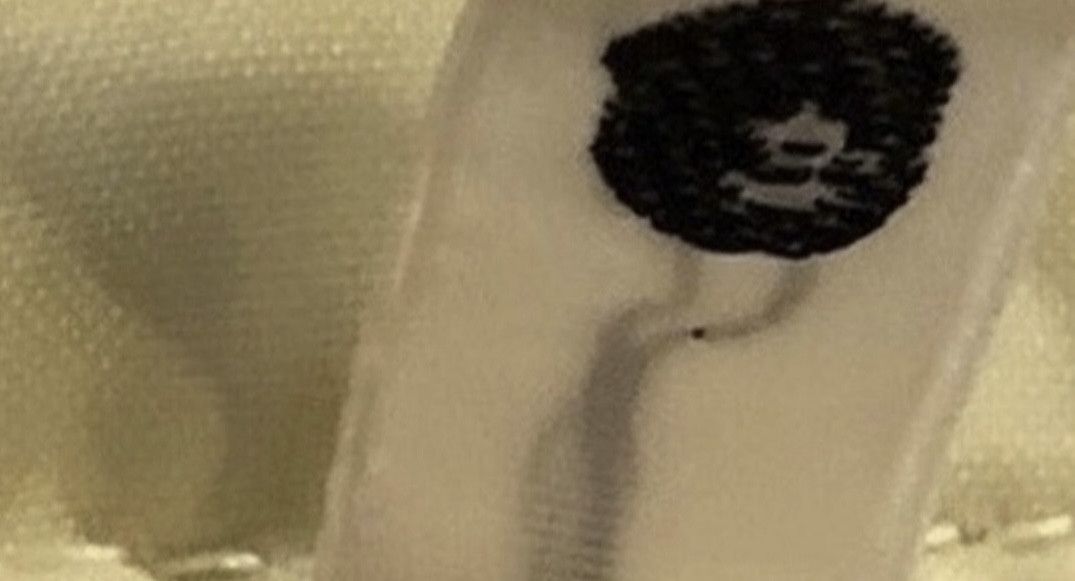 Bape Bape coaches jacket Size US XL / EU 56 / 4 - 4 Thumbnail