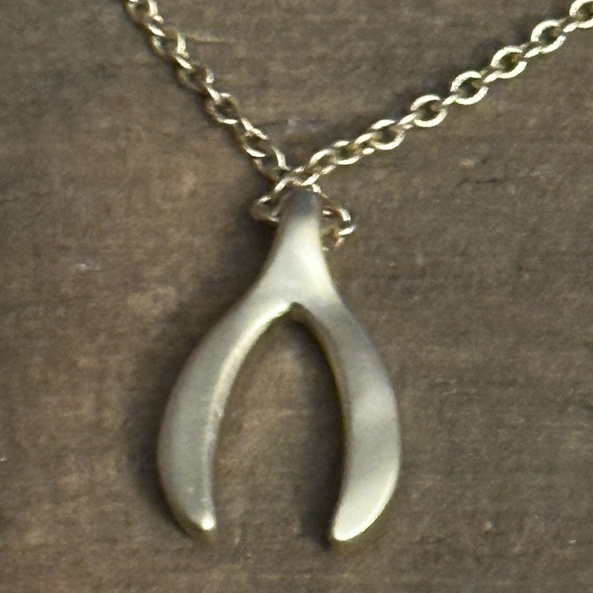 Other Spartina Sea La Vie paved wishbone pendant necklace Size ONE SIZE - 4 Thumbnail
