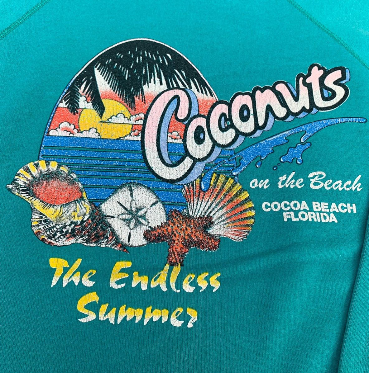 Hanes Vintage 80s Hanes Coconuts Beach Florida Crewneck Size US M / EU 48-50 / 2 - 7 Thumbnail