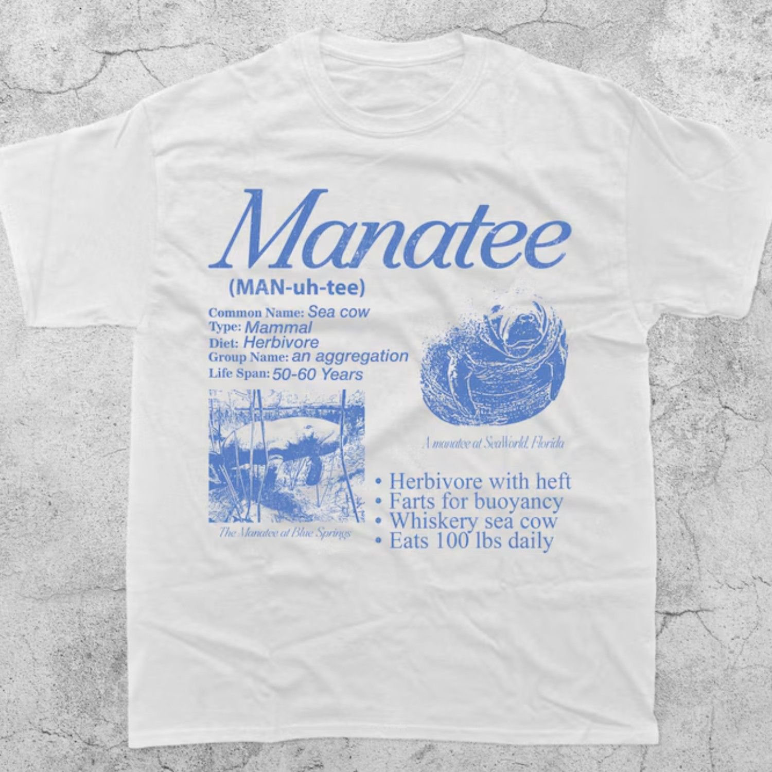 Japanese Brand Manatee Vintage 90s Graphic T-Shirt, Retro Sea Cow Tee Size US L / EU 52-54 / 3 - 1 Thumbnail