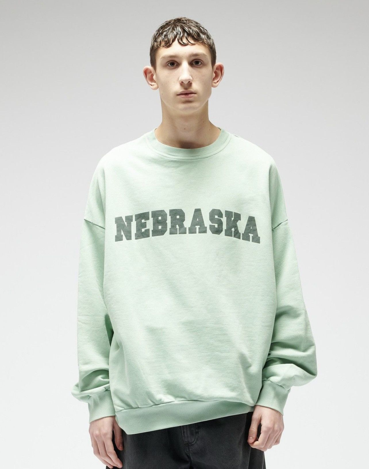 Raf Simons Nebraska Archive Redux AW02 Virginia Creeper Sweatshirt Size US M / EU 48-50 / 2 - 1 Thumbnail