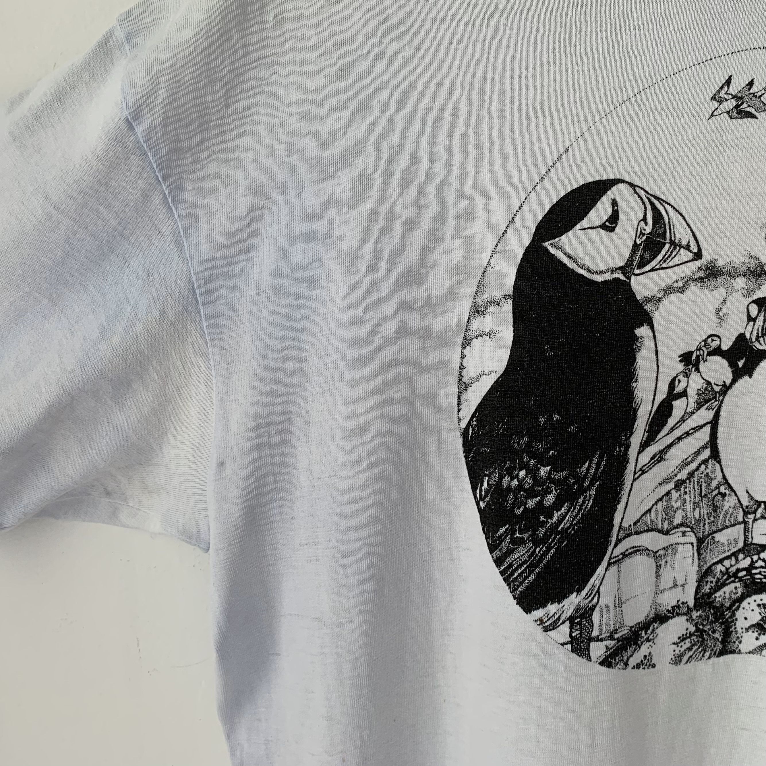 Hanes vintage sunfaded puffin t-shirt Size US L / EU 52-54 / 3 - 3 Thumbnail