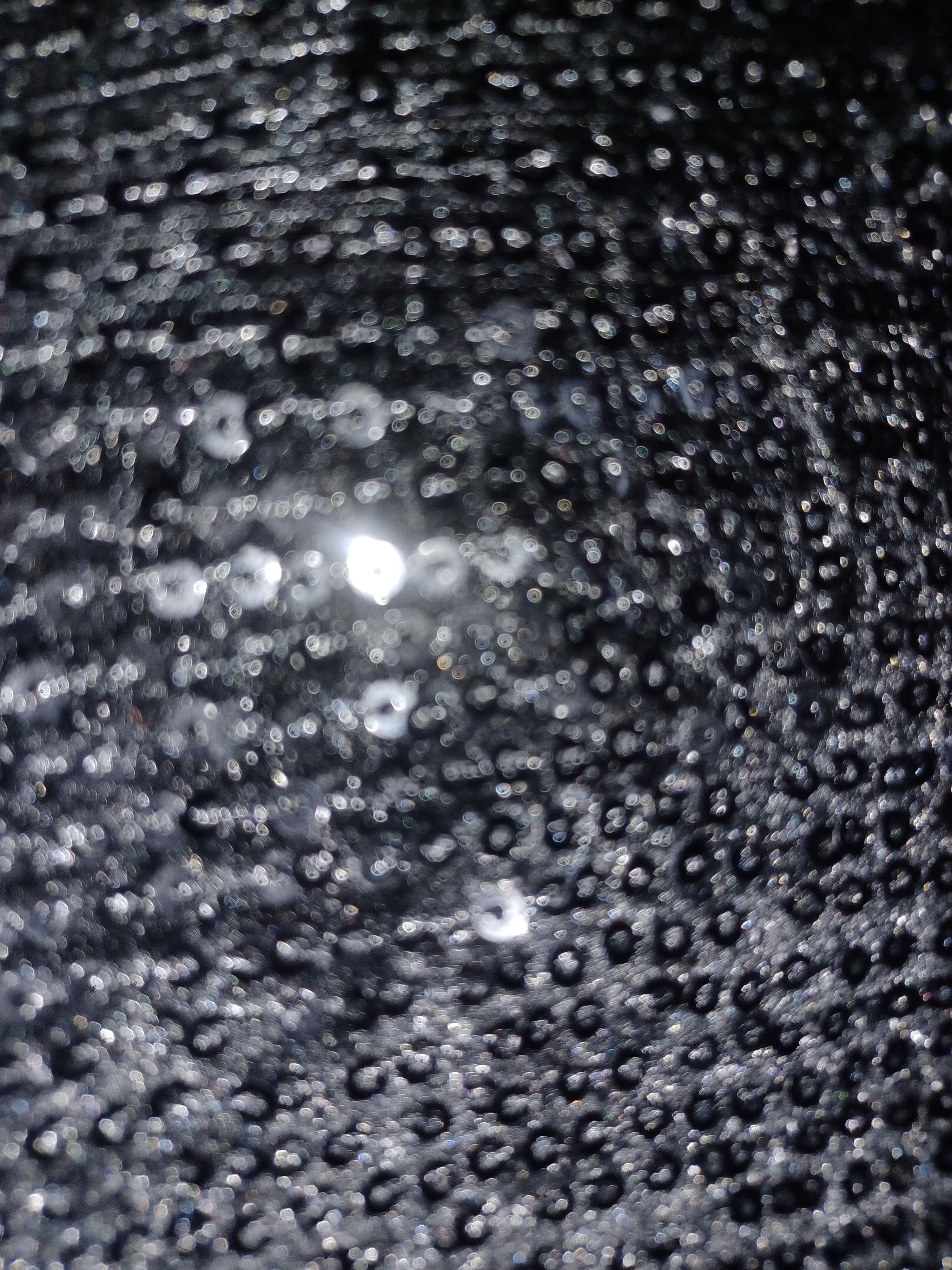 Other She + Sky Women's Pull-On Top Large Black Sequins Size L / US 10 / IT 46 - 2 Thumbnail