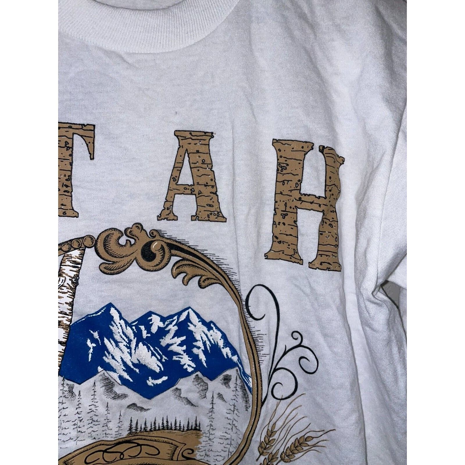 Jerzees Vintage Test Print Shirt Utah Mountain Nature White M Tee Size US M / EU 48-50 / 2 - 4 Thumbnail