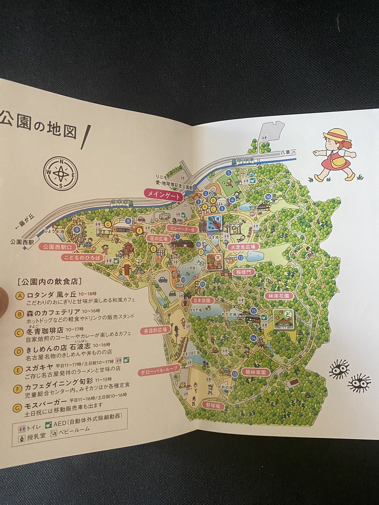 Designer × Japanese Brand Ghibli park Japan book Totoro spirited away Ponyo anime Size ONE SIZE - 4 Thumbnail