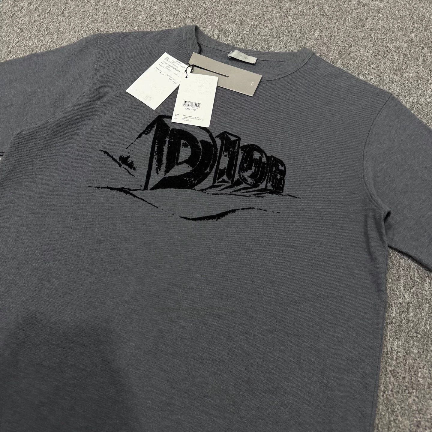 Dior Dior Gray Flocked Logo Short Sleeve Tee S New Size US S / EU 44-46 / 1 - 3 Thumbnail
