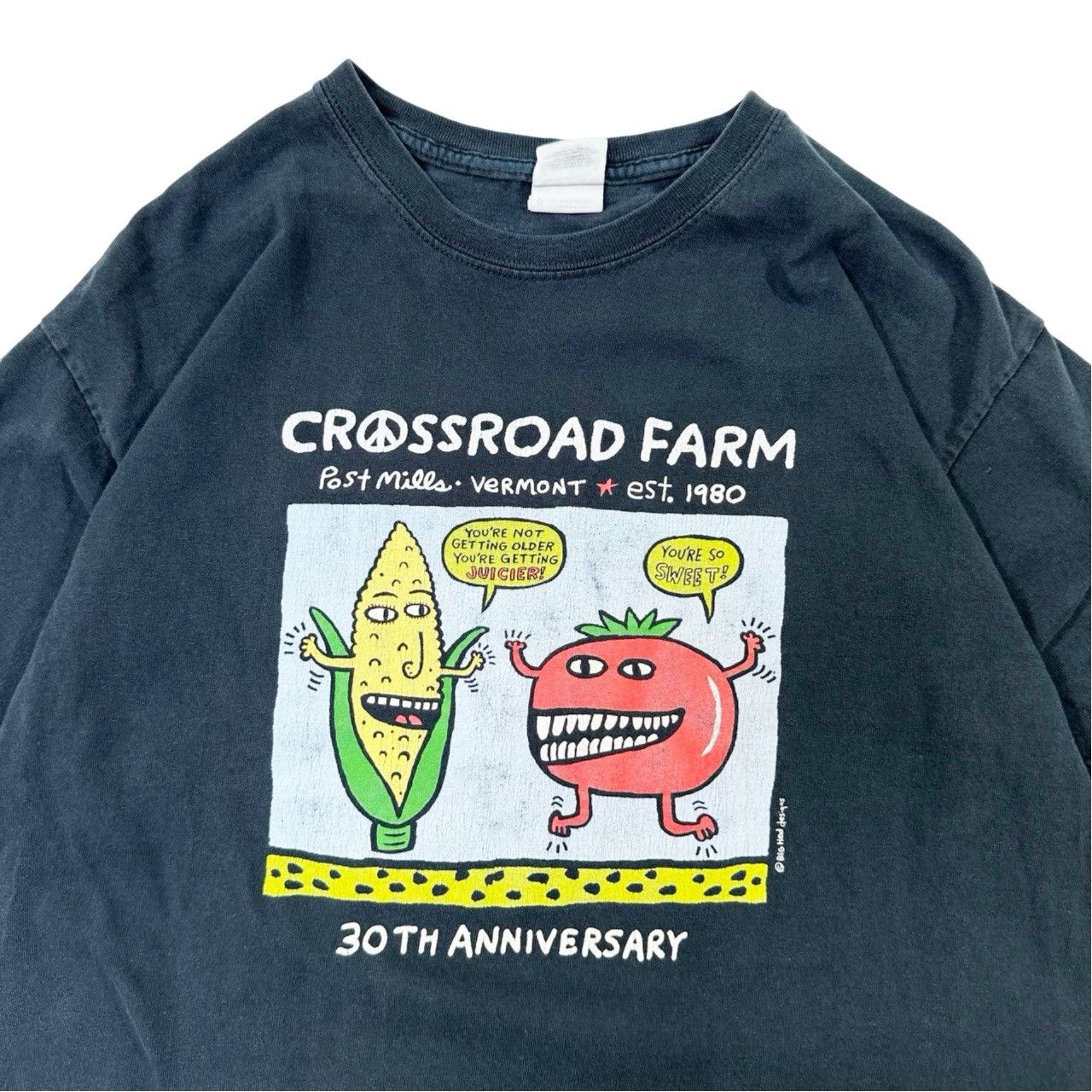 Vintage Vintage 00s Crossroads Farm Eat Local Parody Big Heads Size US L / EU 52-54 / 3 - 2 Thumbnail