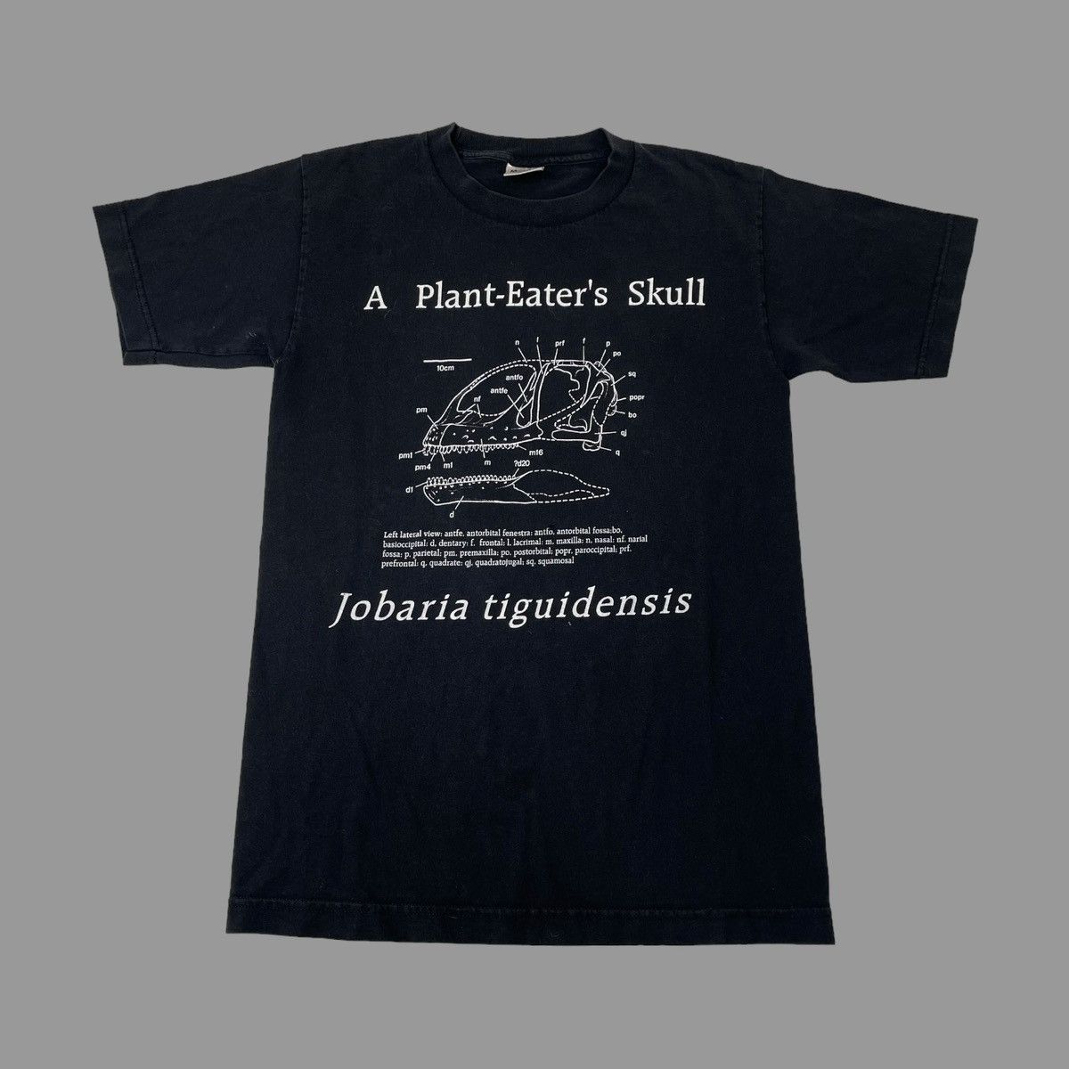 Vintage Vintage 90s anatomy skeleton t shirt Size US S / EU 44-46 / 1 - 1 Thumbnail