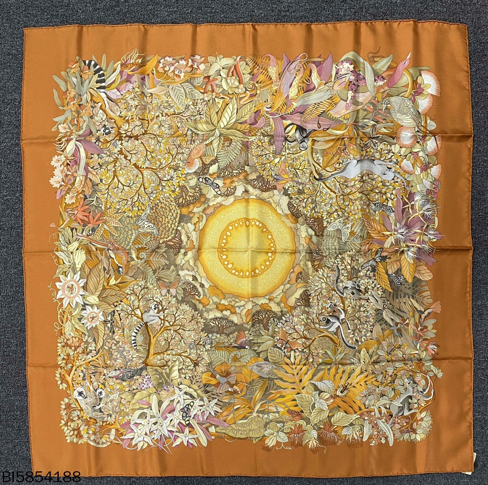 Hermes Hermes 'True Meaning of Life' Scarf Size ONE SIZE - 1 Thumbnail