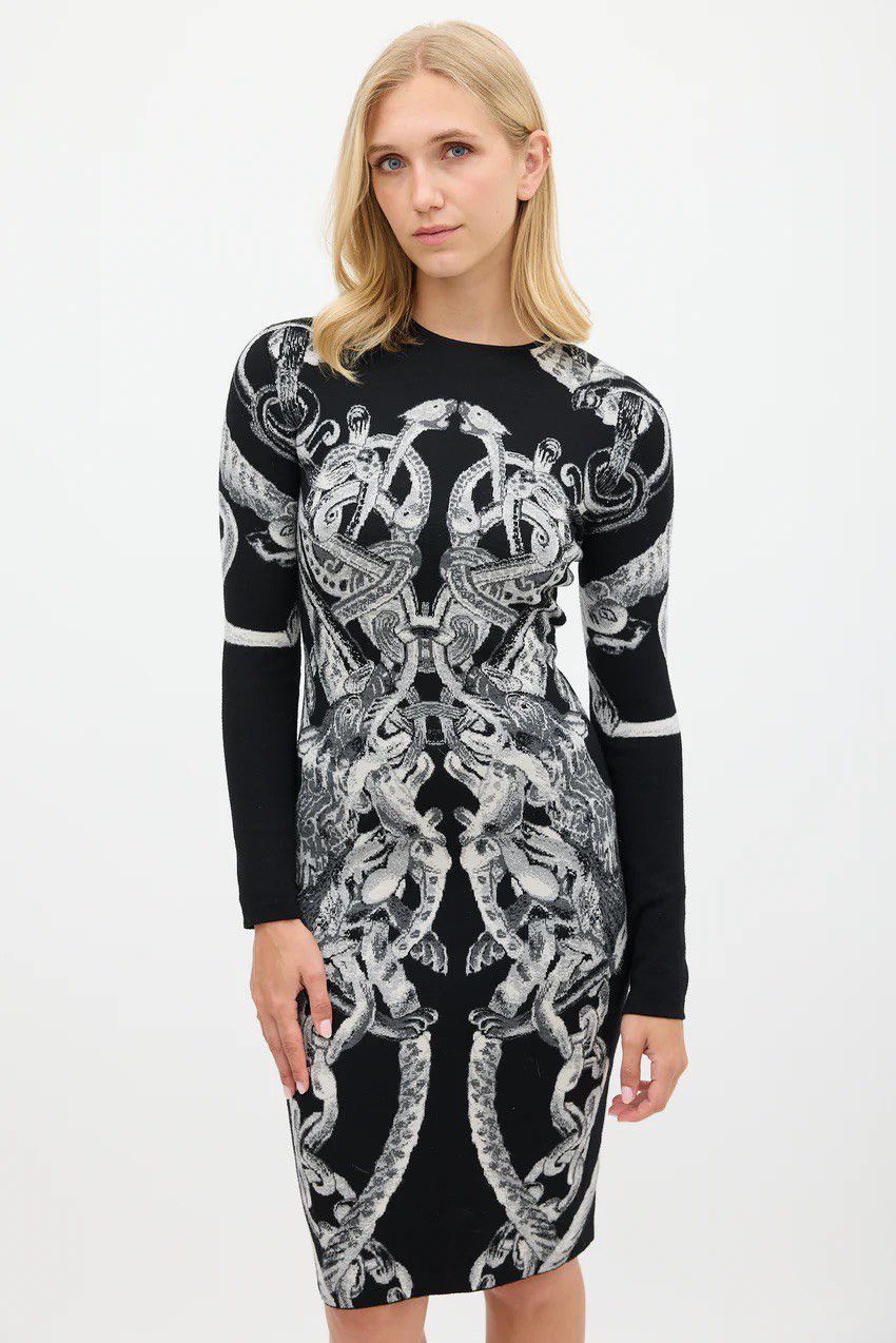 Alexander McQueen ★0% TAX★ F/W2010 Alexander McQueen Wool-Silk Graphic Dress Size S / US 4 / IT 40 - 1 Thumbnail