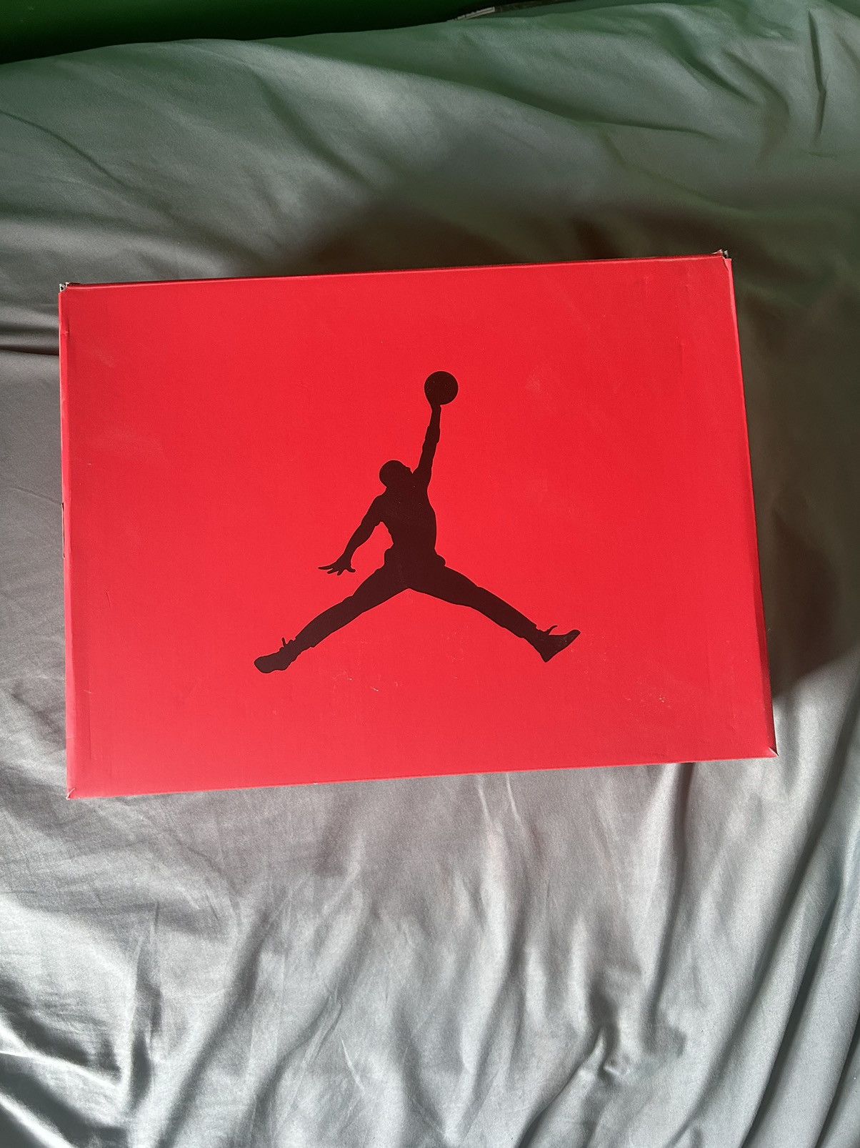 Jordan Brand Nike Air Jordan 6 Toro Bravo 2023 Size US 14 / EU 47 - 7 Thumbnail
