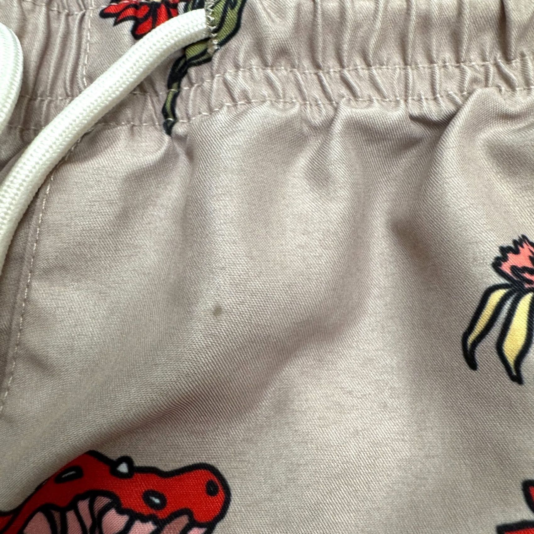 Pacsun Pacsun Mushroom Floral Swim Trunks Board Shorts Mens L Brown Beach Summer Size US 33 - 5 Thumbnail