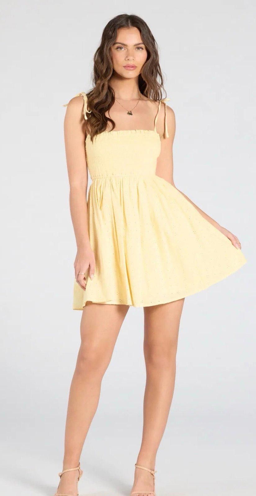 Windsor Smith Windsor Sunny Tones Smocked Eyelet Skater Dress Small NWT Size S / US 4 / IT 40 - 1 Thumbnail