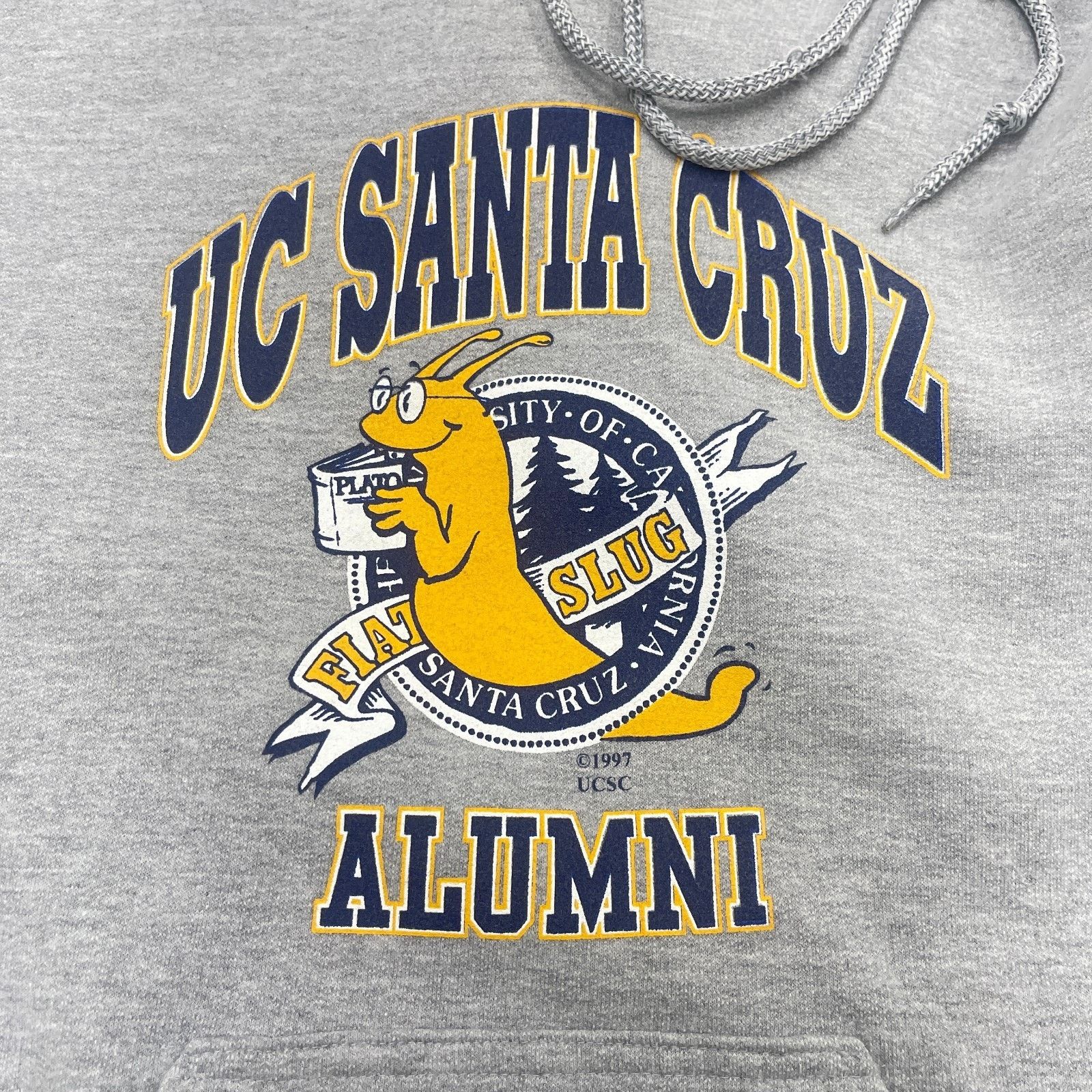 Santa Cruz Skateboards × Vintage UC Santa Cruz Banana Slugs hoodie Sweater Size Small S B11 Size US S / EU 44-46 / 1 - 5 Thumbnail