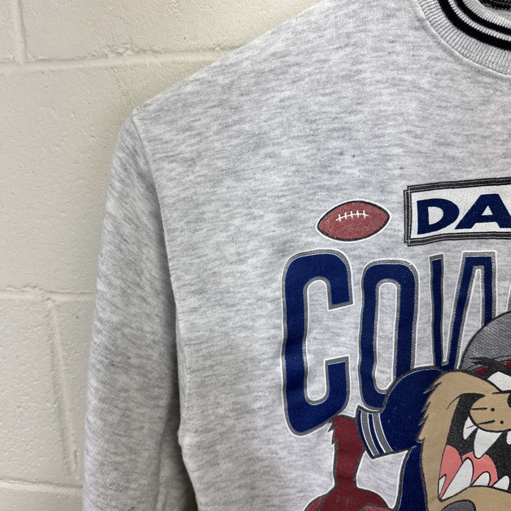 Vintage VINTAGE Dallas Cowboys Sweatshirt Main Point: TAZ Looney Tunes Gray NFL Large Adult Large Gray 1990s Cowboys Mens Size US L / EU 52-54 / 3 - 6 Thumbnail