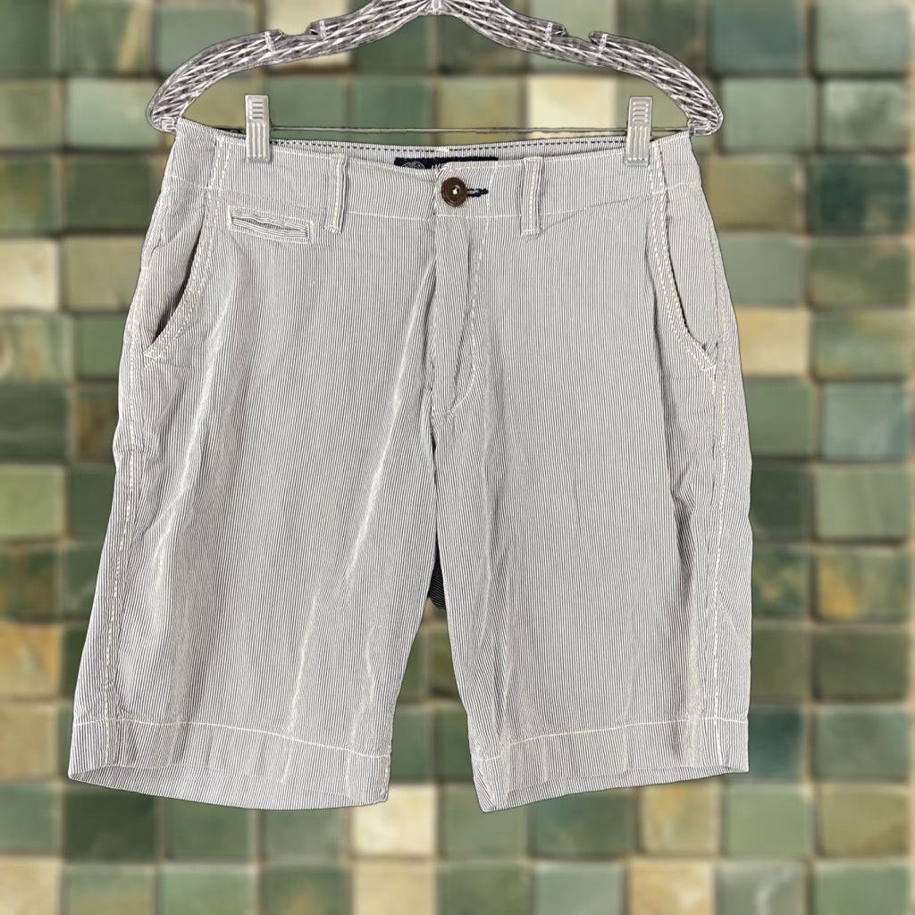 American Eagle Outfitters American Eagle Shorts Men’s 28 Blue Pin Striped Chino Regular 28 Mens Size US 28 / EU 44 - 1 Thumbnail