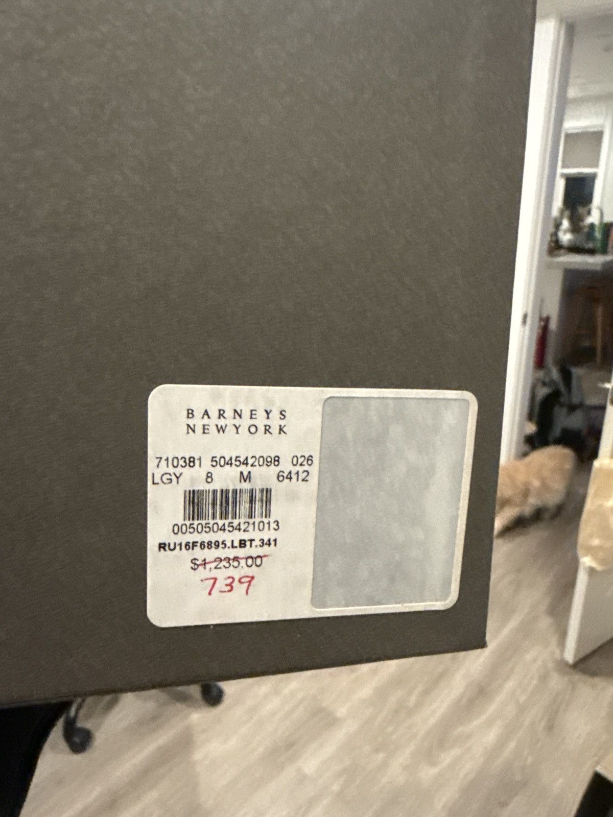 Rick Owens Rick Owens Island Dunks DNA Dust 41 Size US 8.5 / EU 41-42 - 9 Thumbnail