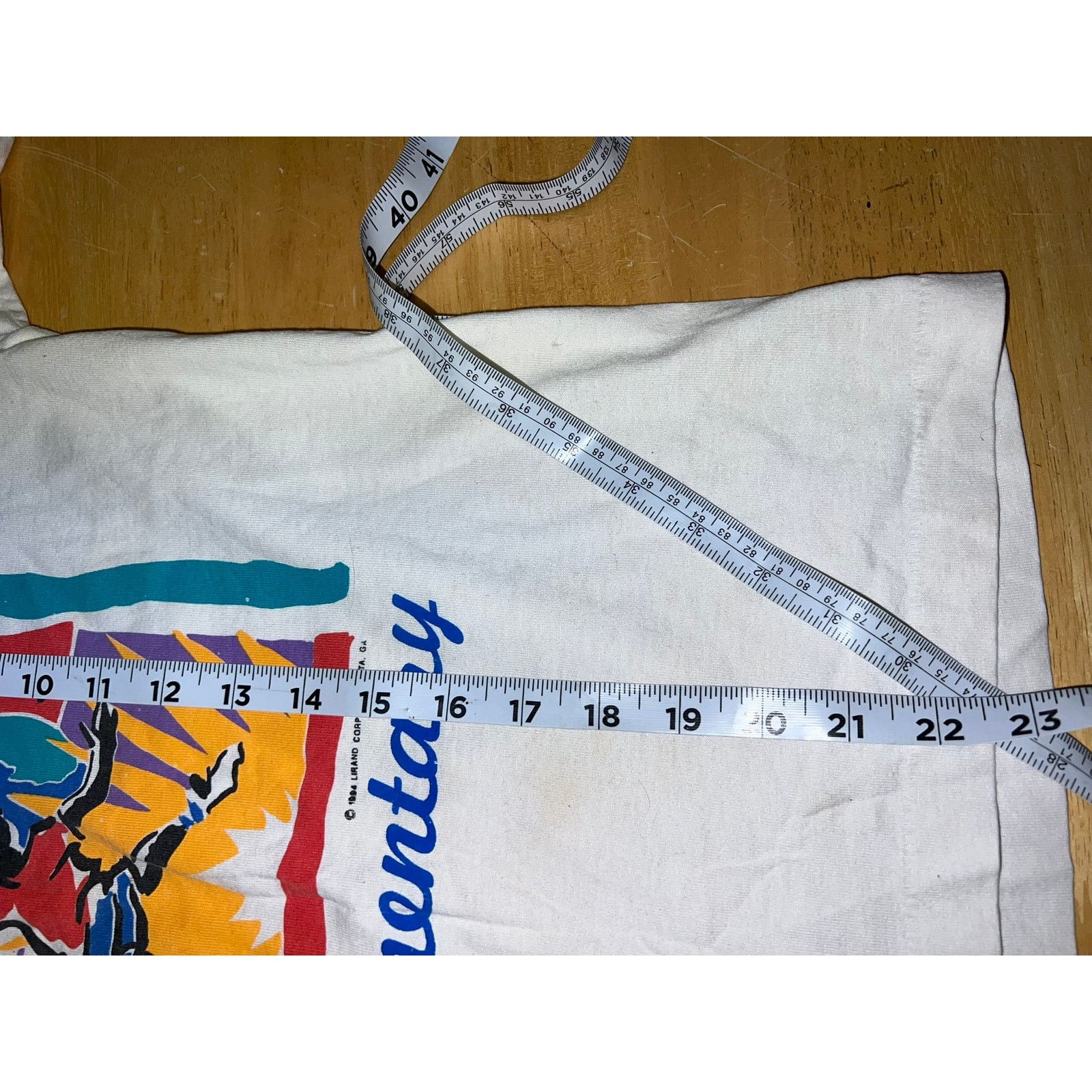 Fruit Of The Loom Youth Vintage Field Day Shirt Bush Elementary Sports Top L Size L / US 10 / IT 46 - 10 Thumbnail