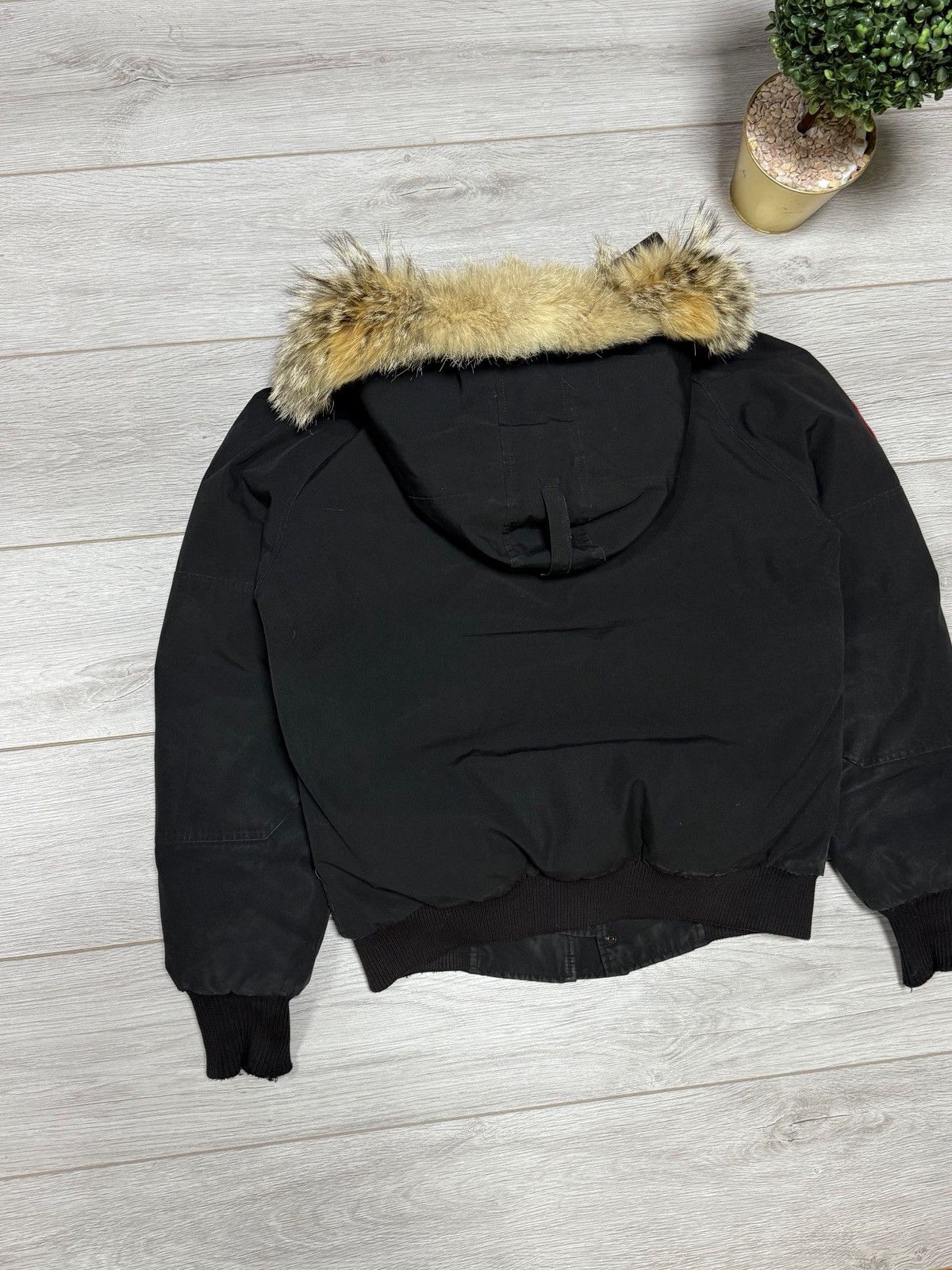 Canada Goose Canada Goose Chilliwack bomber down jacket fur Size US M / EU 48-50 / 2 - 7 Thumbnail