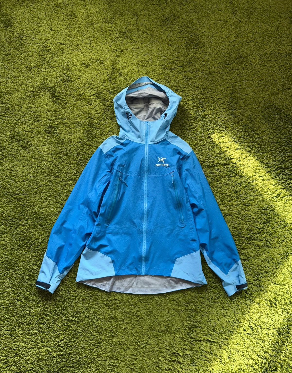 Arc'teryx Arcteryx gorpcore style Gore-Tex membrane jacket Size L / US 10 / IT 46 - 1 Thumbnail