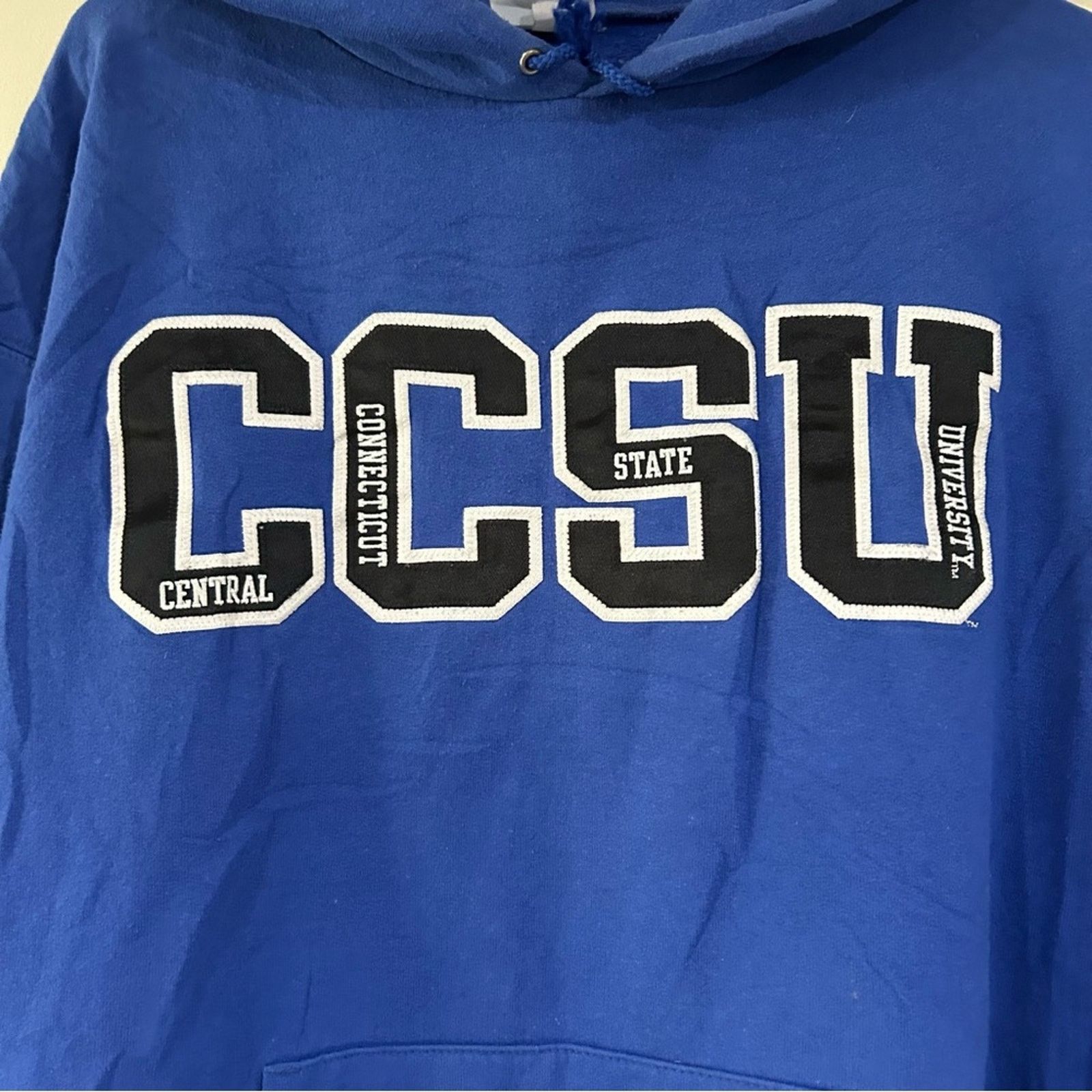 Champion Champion Central Connecticut State Blue Devils Hoodie Size US L / EU 52-54 / 3 - 2 Thumbnail