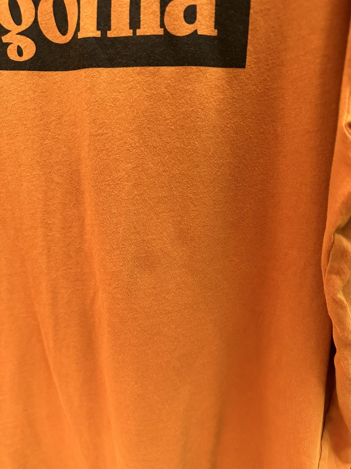 Patagonia Patagonia Logo T-shirt Size XXL Size US XXL / EU 58 / 5 - 6 Thumbnail