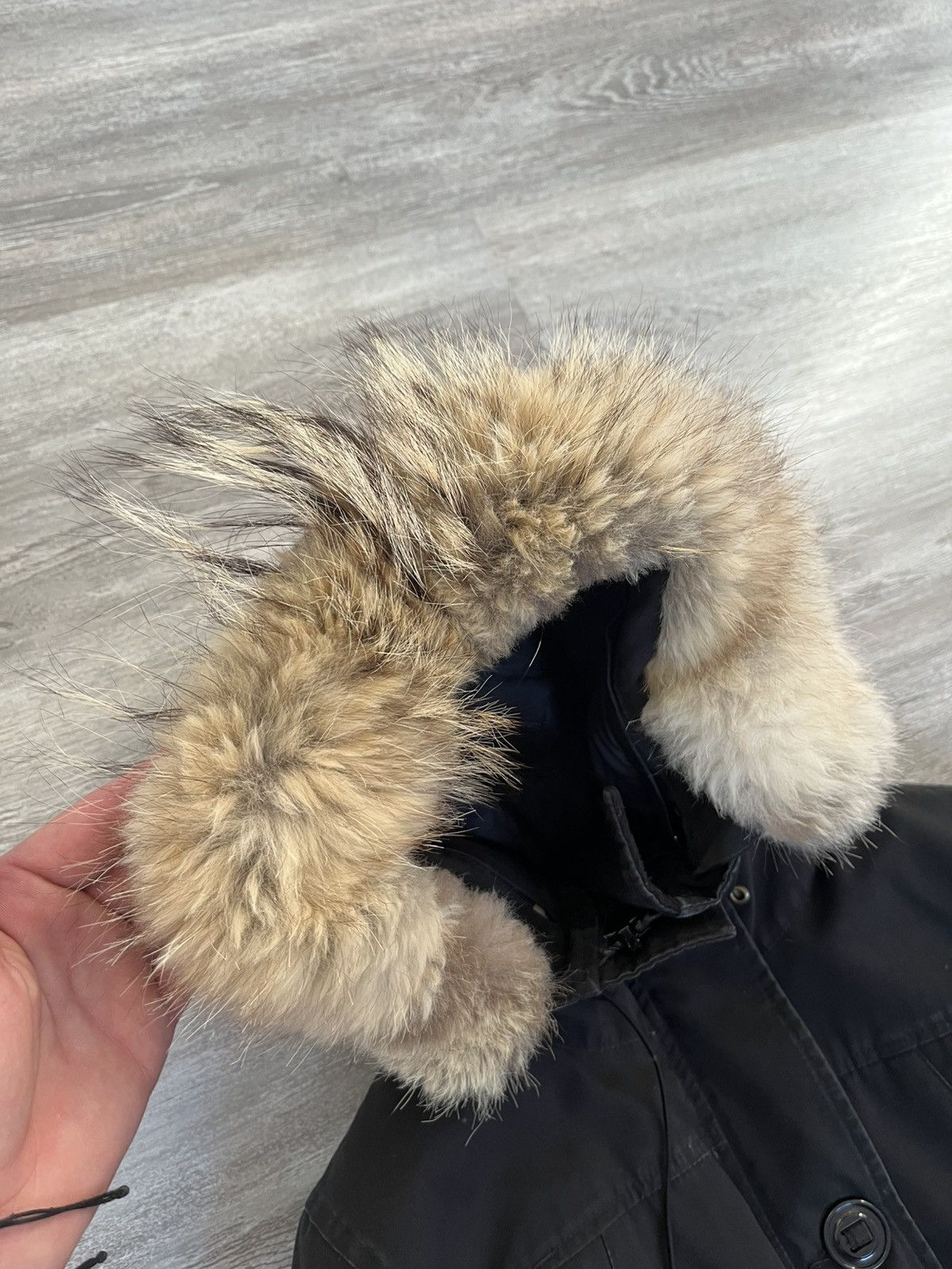 Canada Goose × Designer Canada Goose women parka arctic program Size S / US 4 / IT 40 - 8 Thumbnail