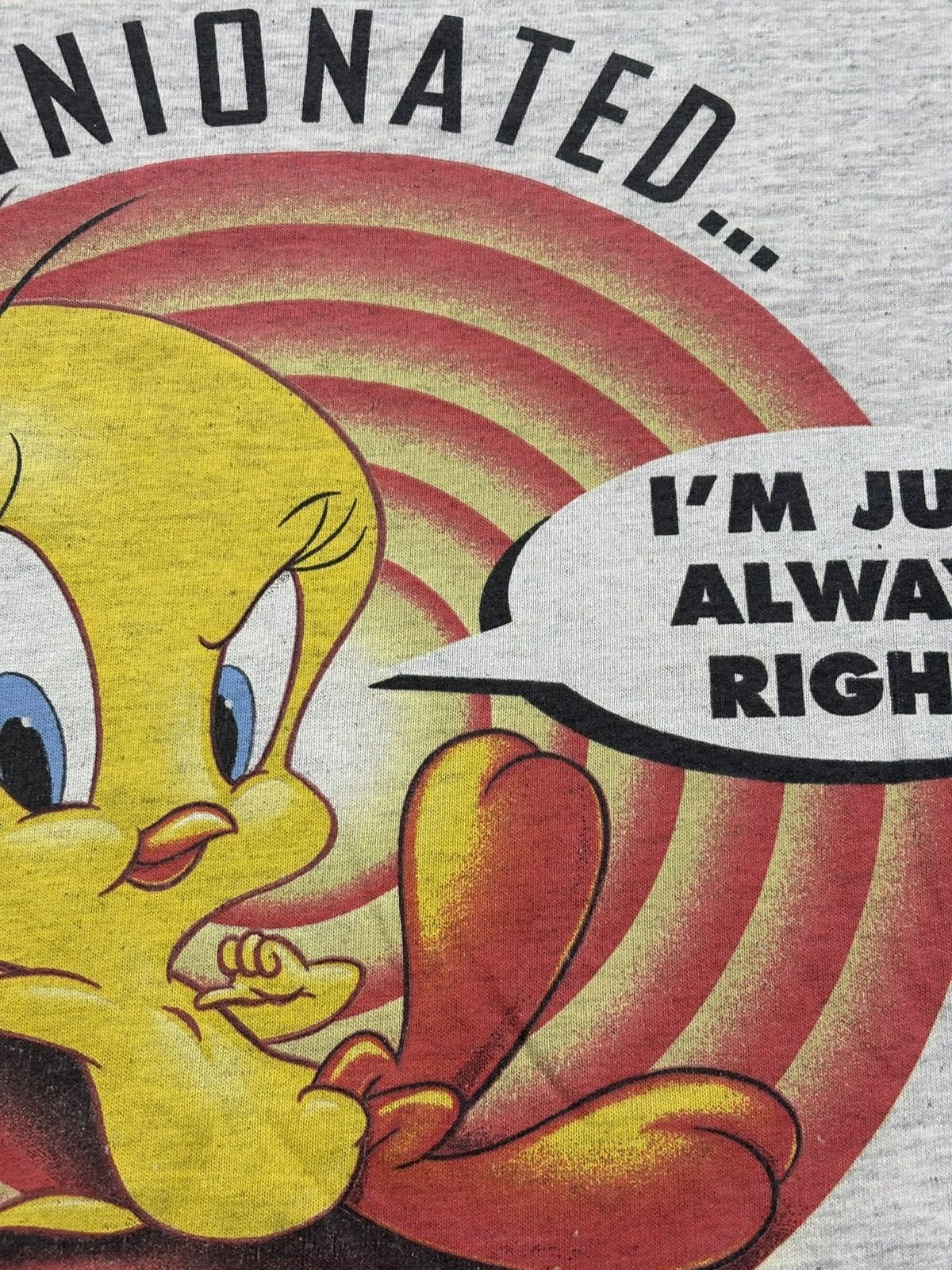 Cartoon Network Vintage Looney Tunes 1995 Tweety I’m Not Optionated T-shirt Size US XXL / EU 58 / 5 - 8 Thumbnail