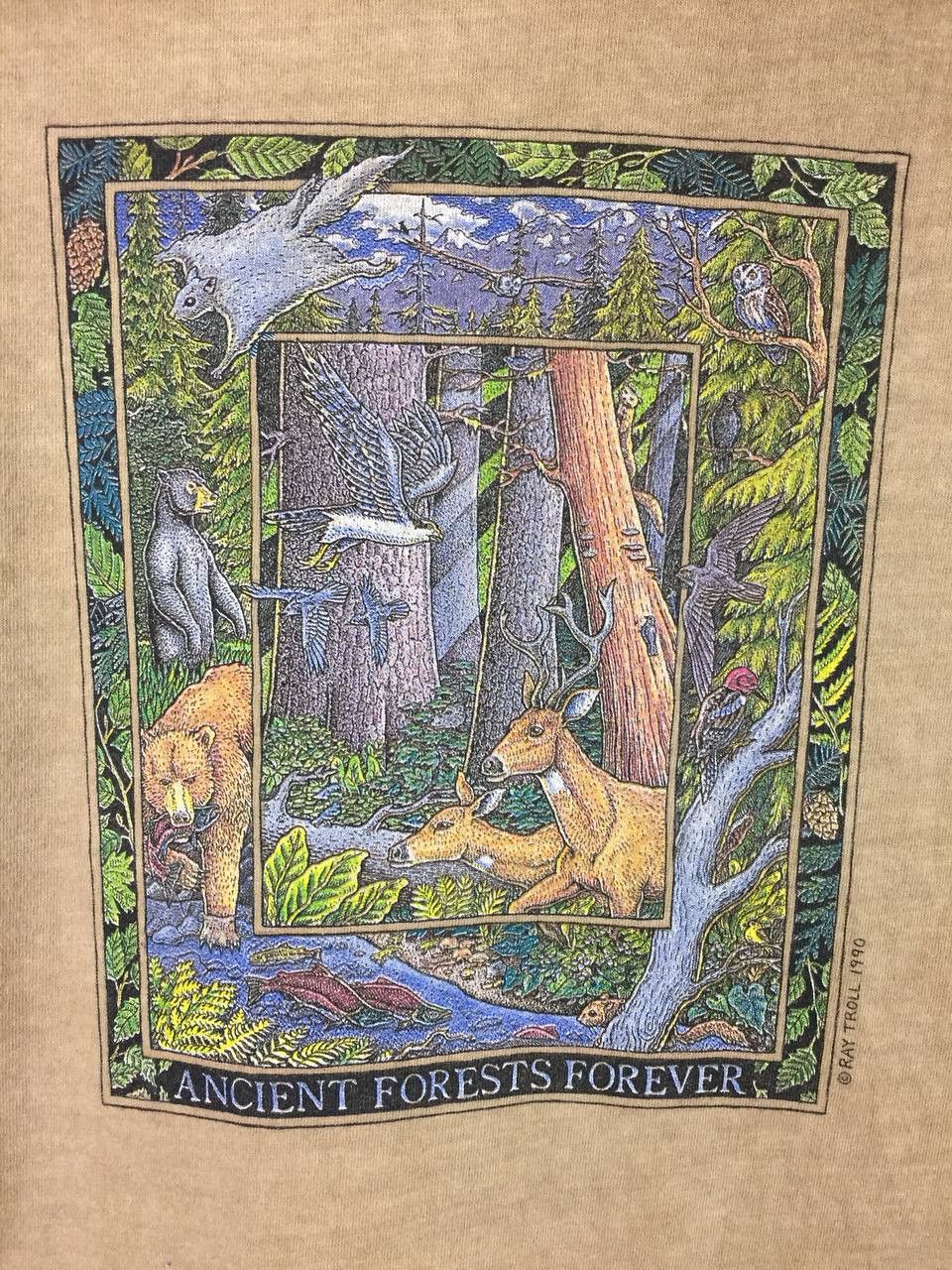 Vintage Vtg 90s Earth Creations Ancient Forests Forever Tee Size US M / EU 48-50 / 2 - 4 Thumbnail