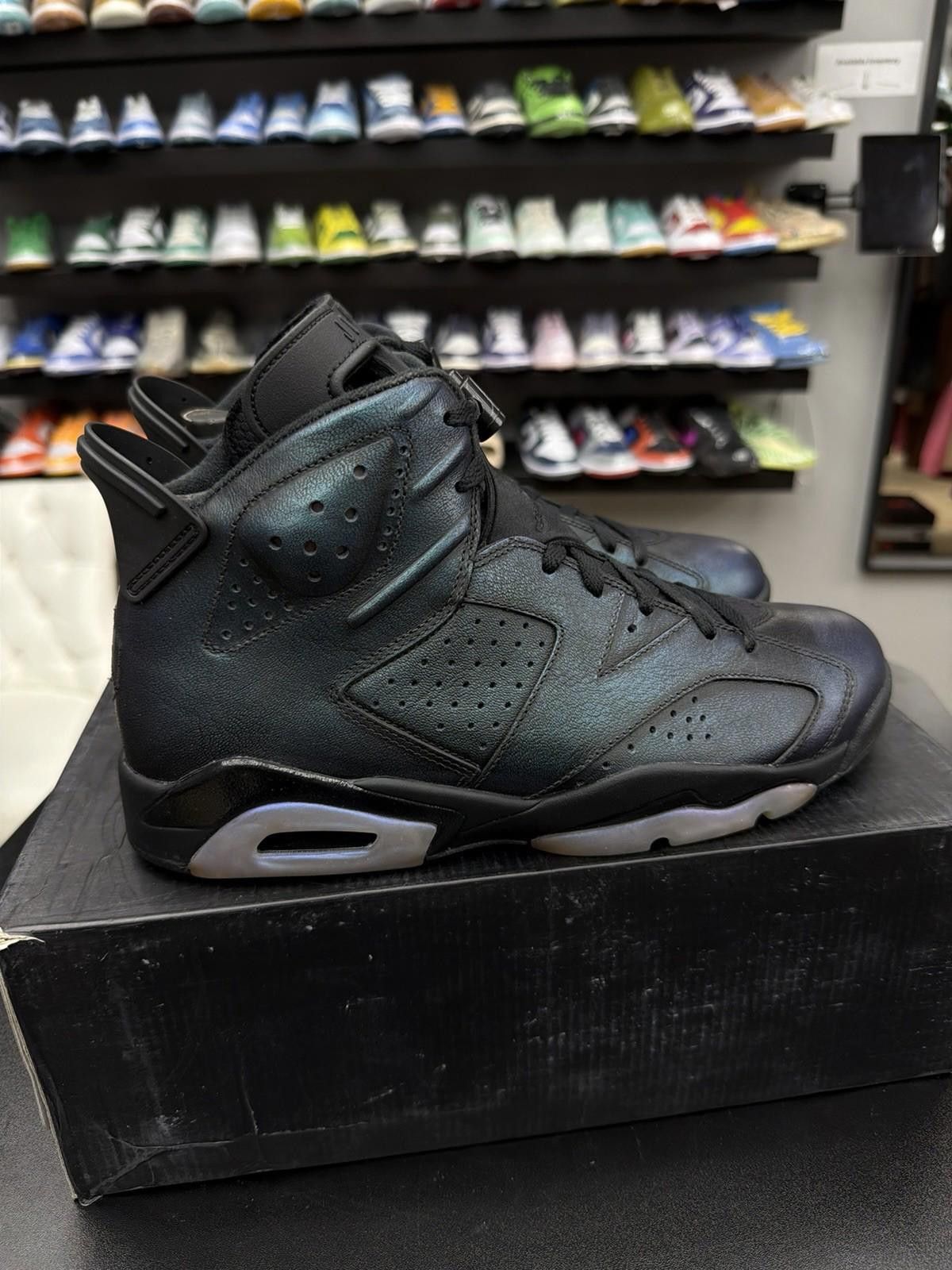 Jordan Brand Nike Air Jordan 6 All Star-Chameleon, Size 10 Brand New Size US 10 / EU 43 - 3 Thumbnail