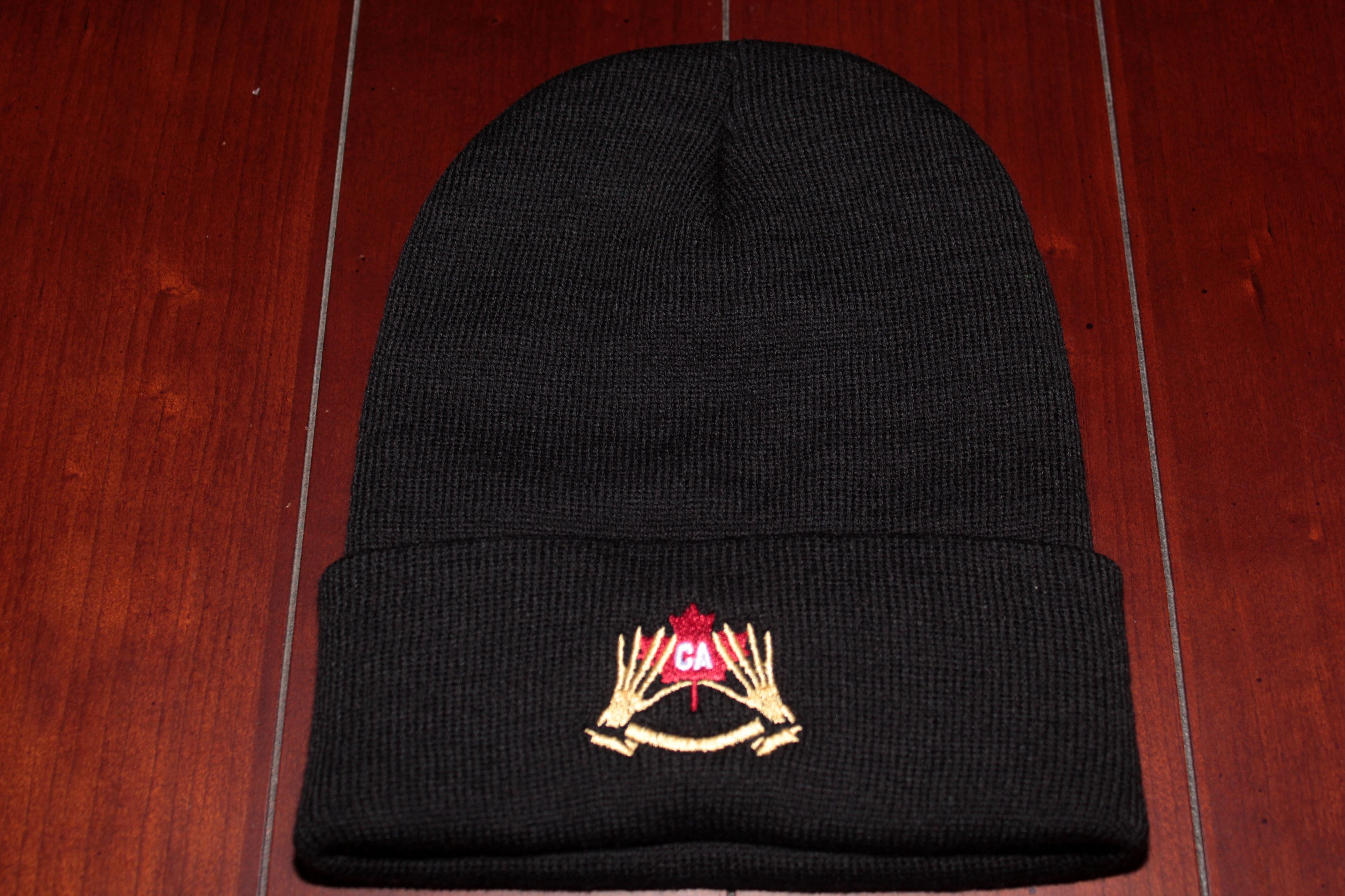 TeamSESH 'TheNorthernLightsTour' Beanie