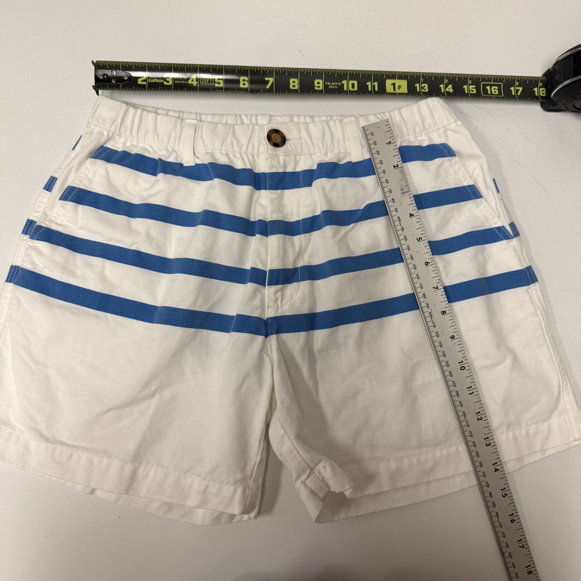 Chubbies Chubbies Stripe BOOMSHAKALAKA Sky's Out Thighs Out Shorts Size US 30 / EU 46 - 6 Thumbnail