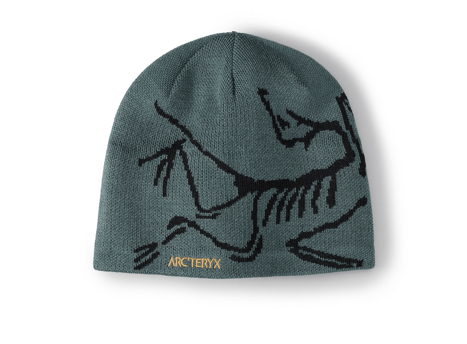 Arc'Teryx Arc'teryx bird head toque orca | Grailed