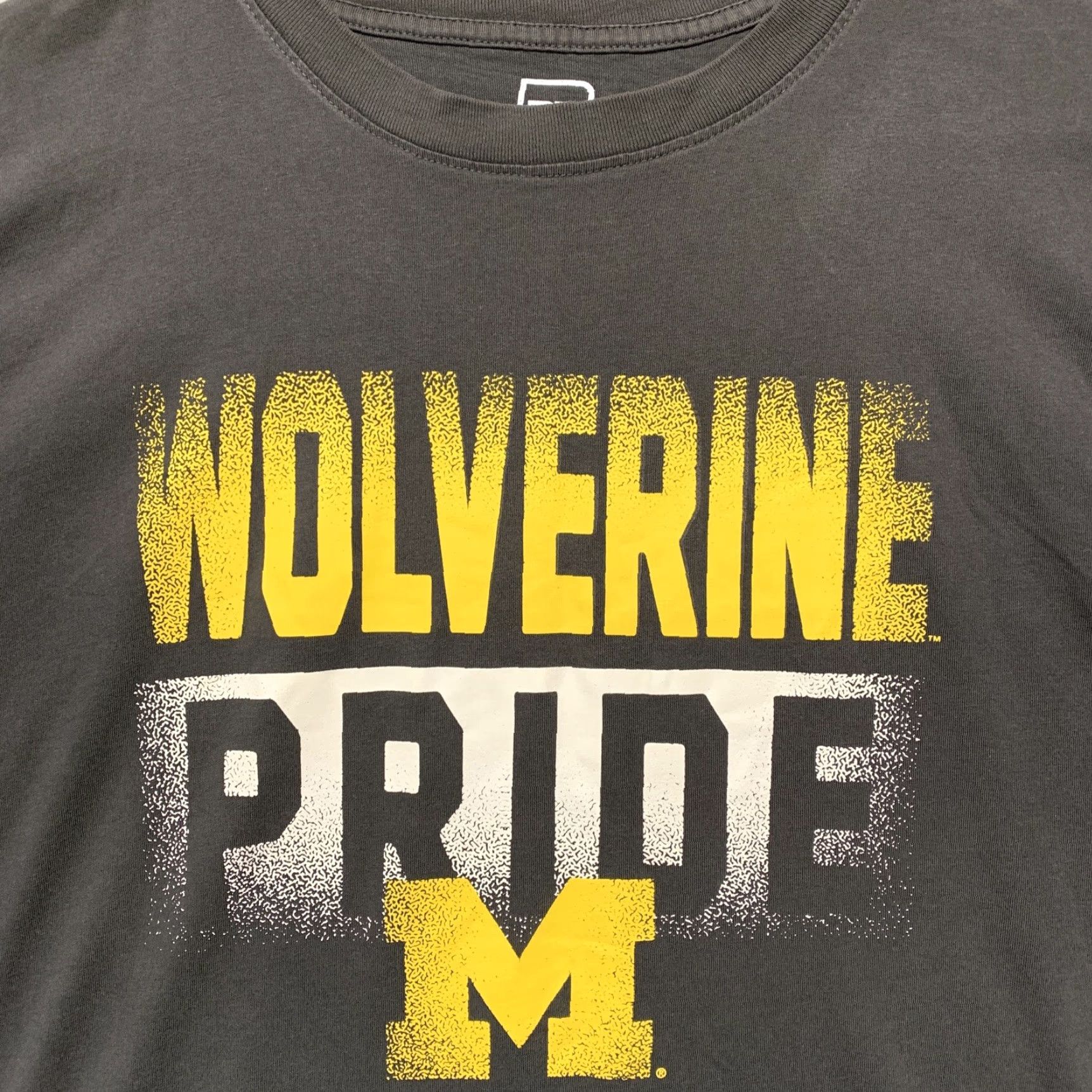 Vintage Pro Edge T-Shirt Michigan Wolverines Pride Mens Large Black Yellow White UofM Size US L / EU 52-54 / 3 - 2 Thumbnail