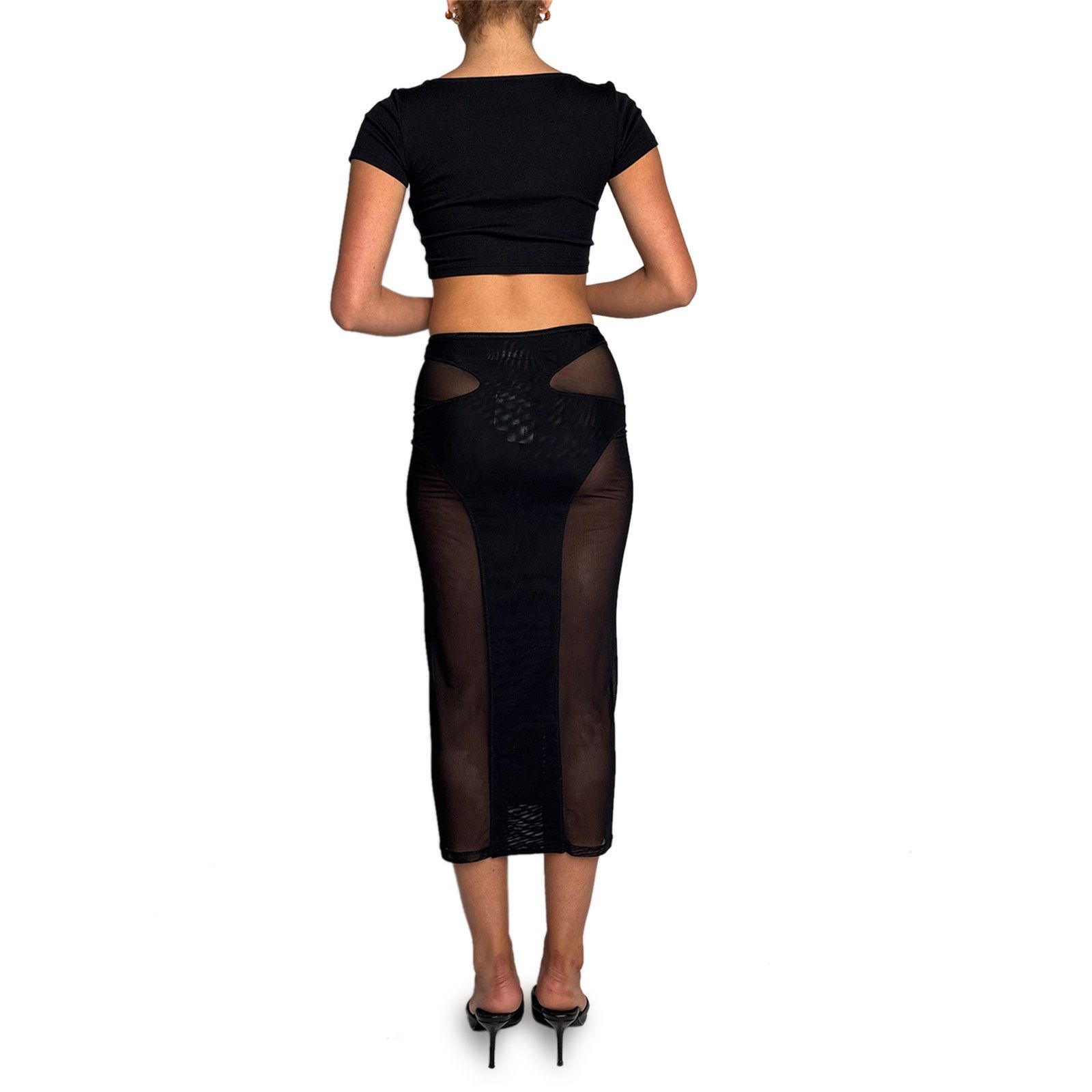 Dion Lee Black Sheer Panel Skirt Size 25" / US 0 / IT 36 - 4 Thumbnail