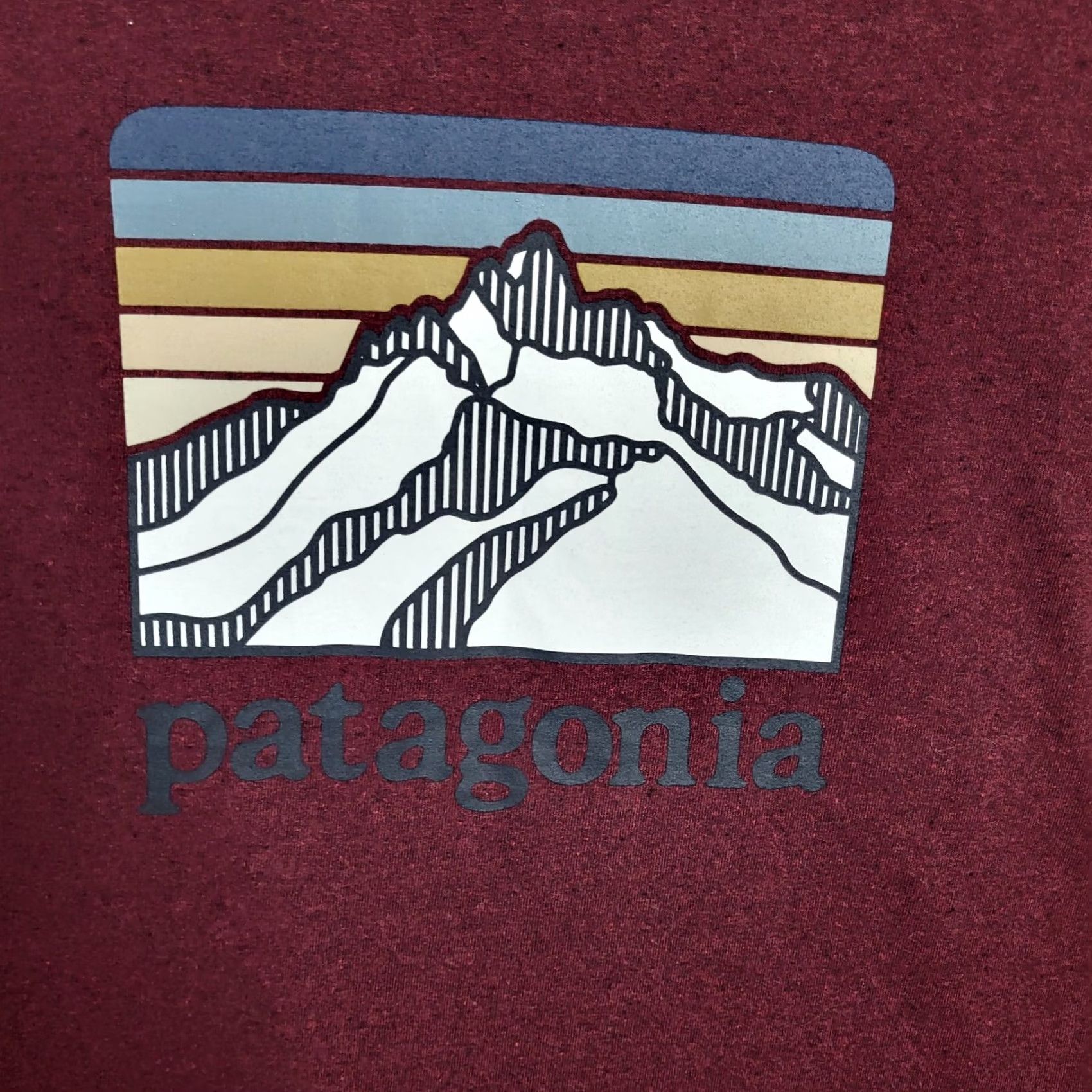 Patagonia Patagonia Tee Mens S Red Regular Fit Men Responsiblli Long sleeve Size Size US S / EU 44-46 / 1 - 3 Thumbnail