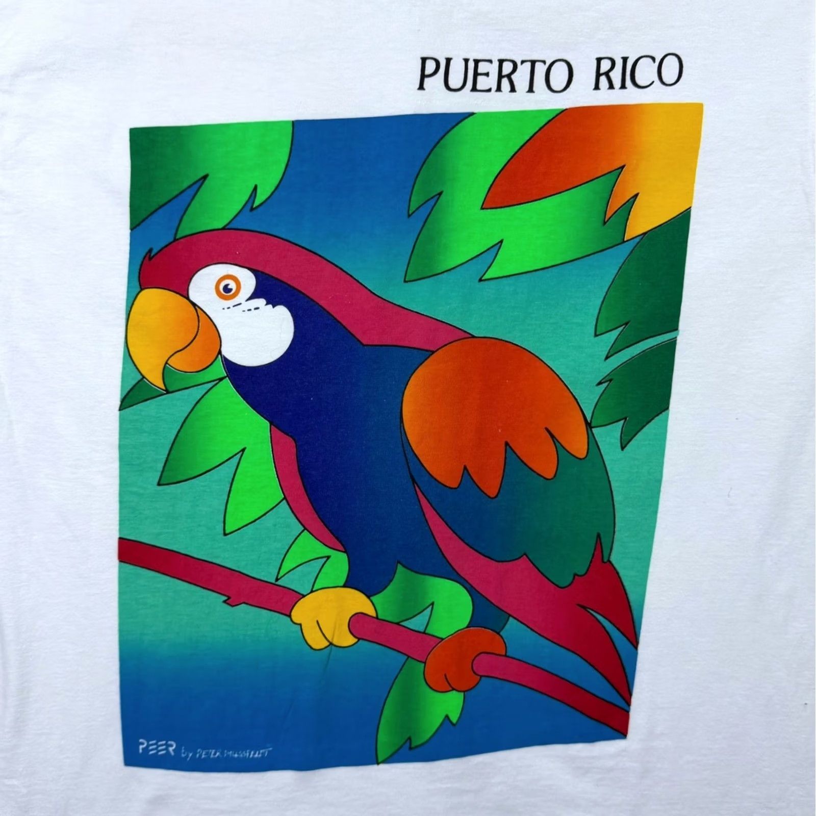 Vintage Vintage Puerto Rico Parrot Art Tourist Souvenir Graphic White T-Shirt Medium Mens Shirt Size US M / EU 48-50 / 2 - 3 Thumbnail