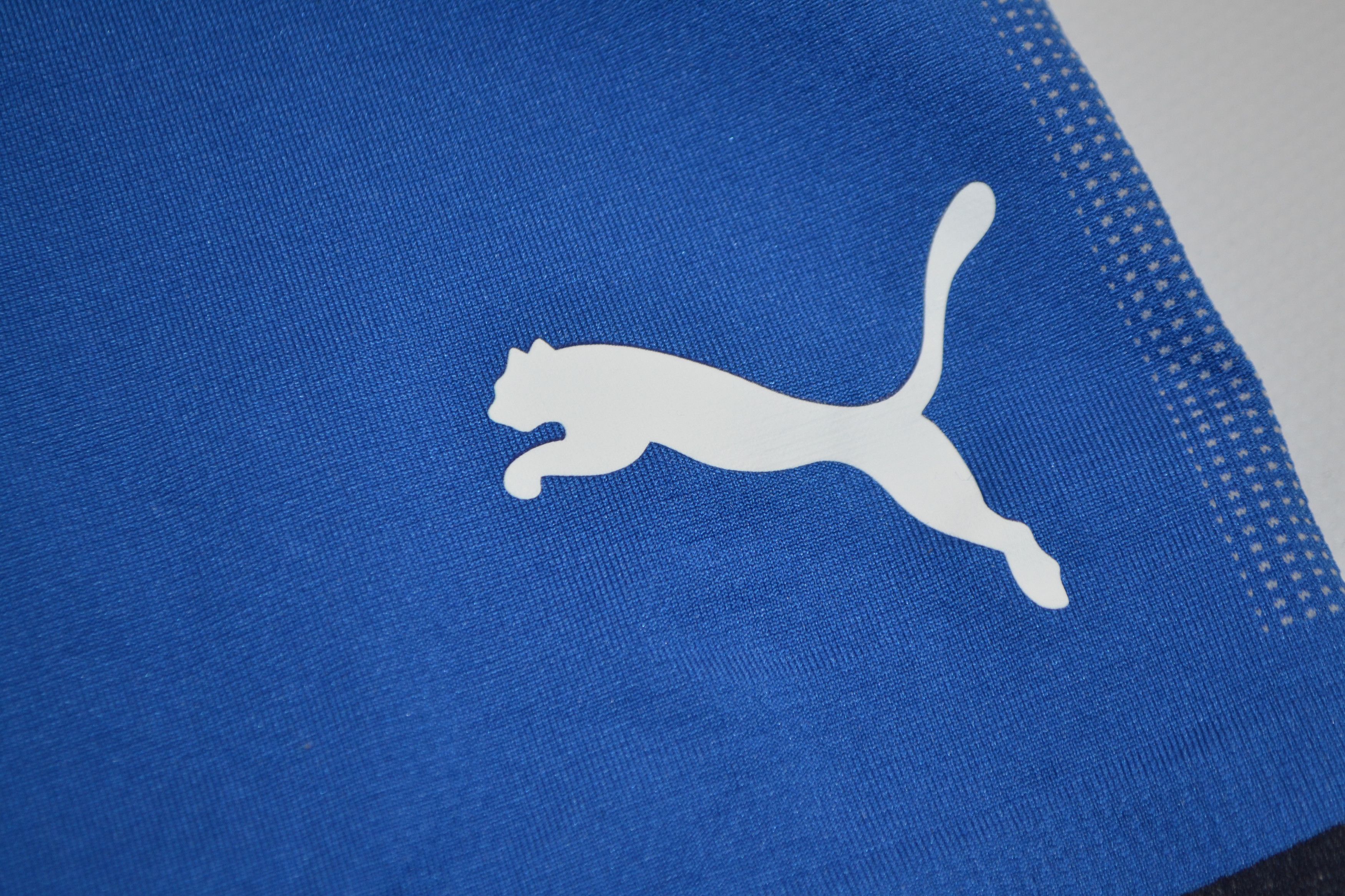 Puma Italy Italia AUTHENTIC Home Shorts 2018 2019 Soccer Size US 36 / EU 52 - 6 Thumbnail