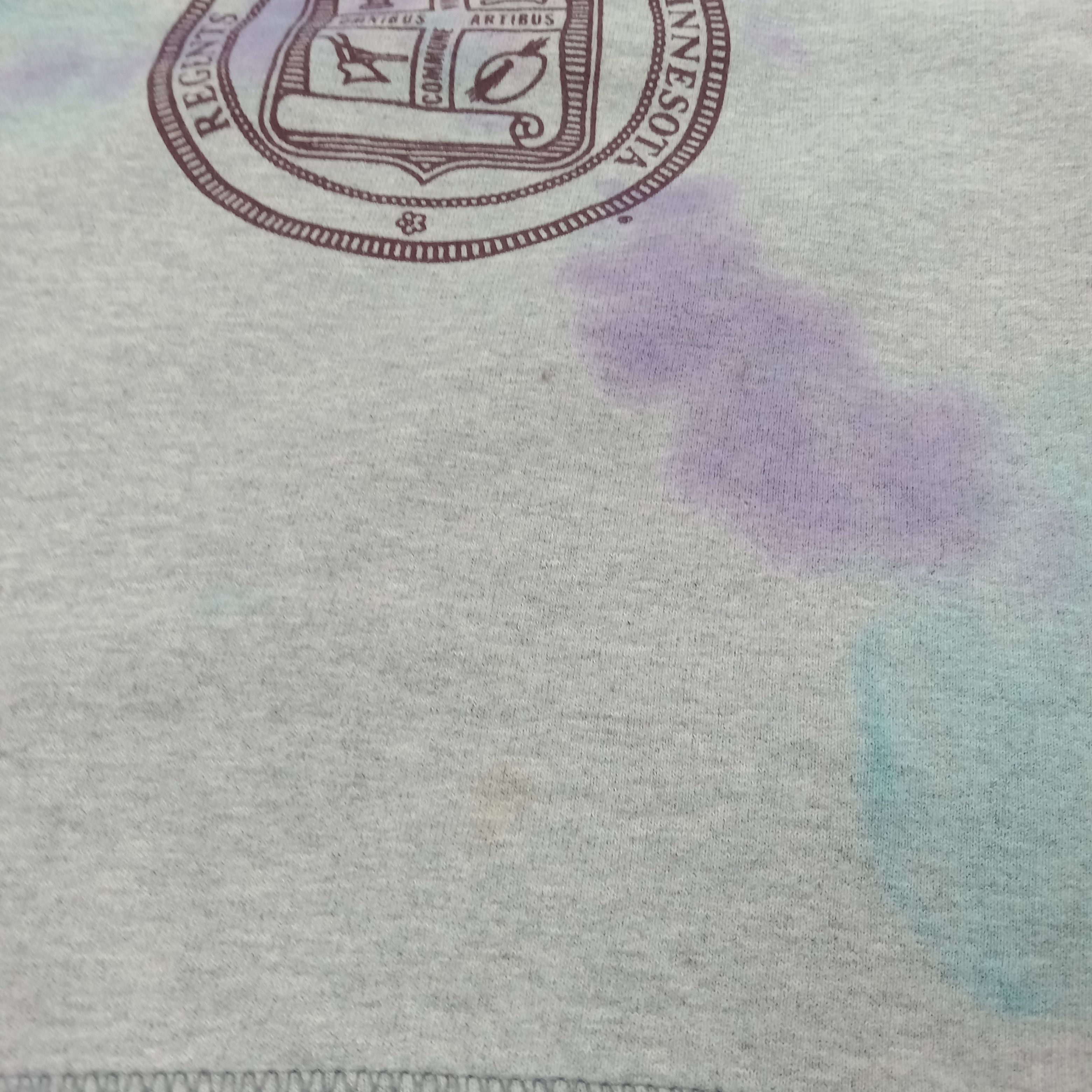 Champion Champion University of Minnesota Sweatshirt C268N7 Size US S / EU 44-46 / 1 - 4 Thumbnail