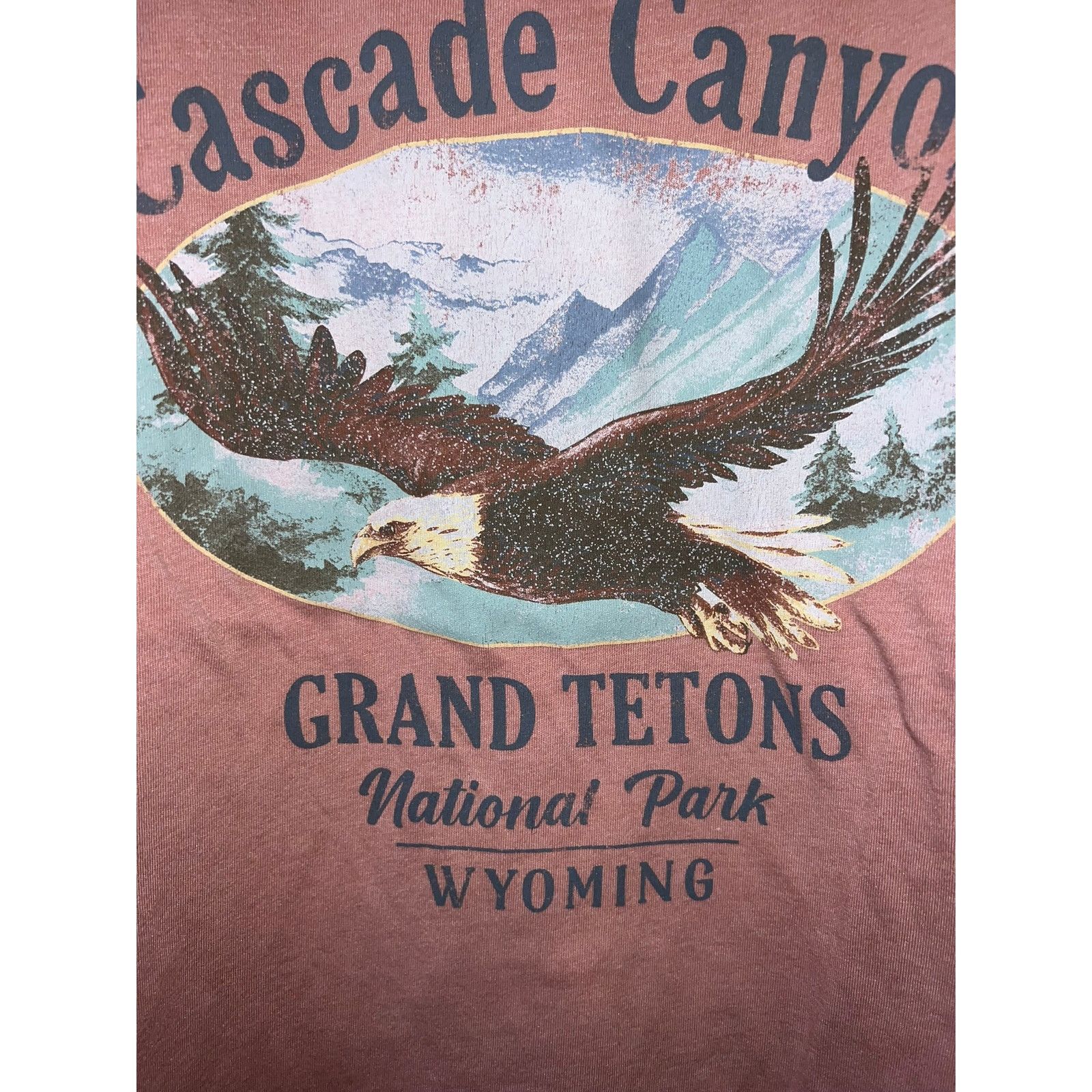 Forever 21 Women's Forever 21 Cascade Canyon Grant Tetons WY Shirt 4X Size 4XL / US 24-26 - 4 Thumbnail