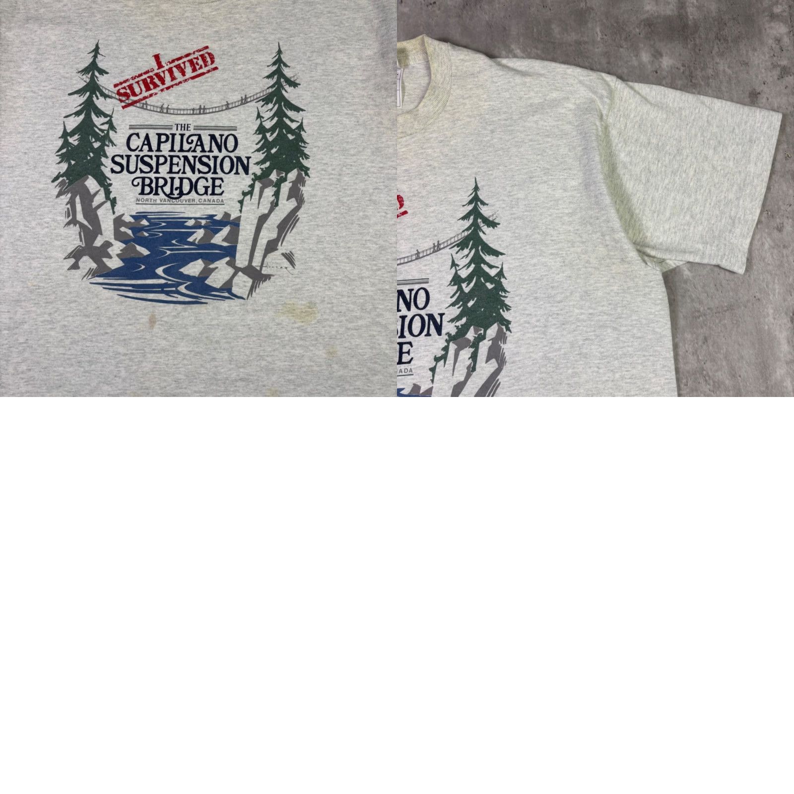 Vintage VINTAGE Capilano Suspension Bridge I Survived T-Shirt Gray XL North Vancouver Men Graphic Tee 1990s Size US XL / EU 56 / 4 - 8 Thumbnail
