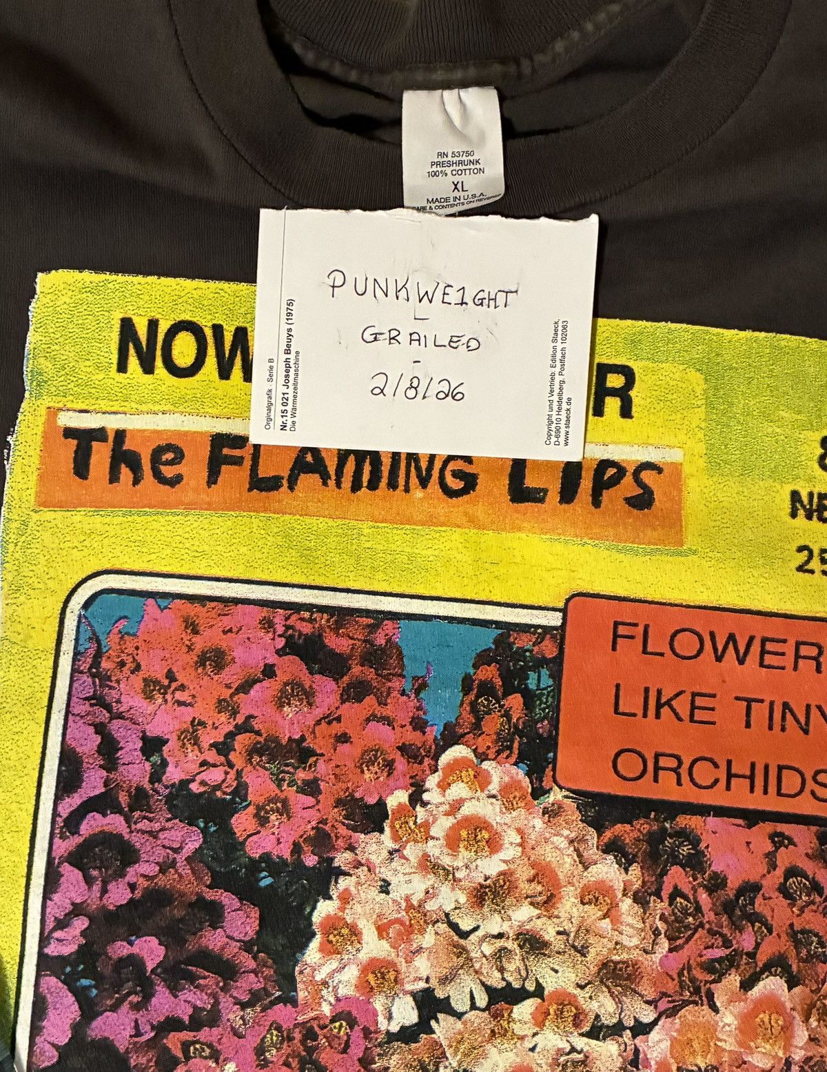Vintage Vintage Flaming Lips “Now in summer” t-shirt Size US XL / EU 56 / 4 - 7 Thumbnail