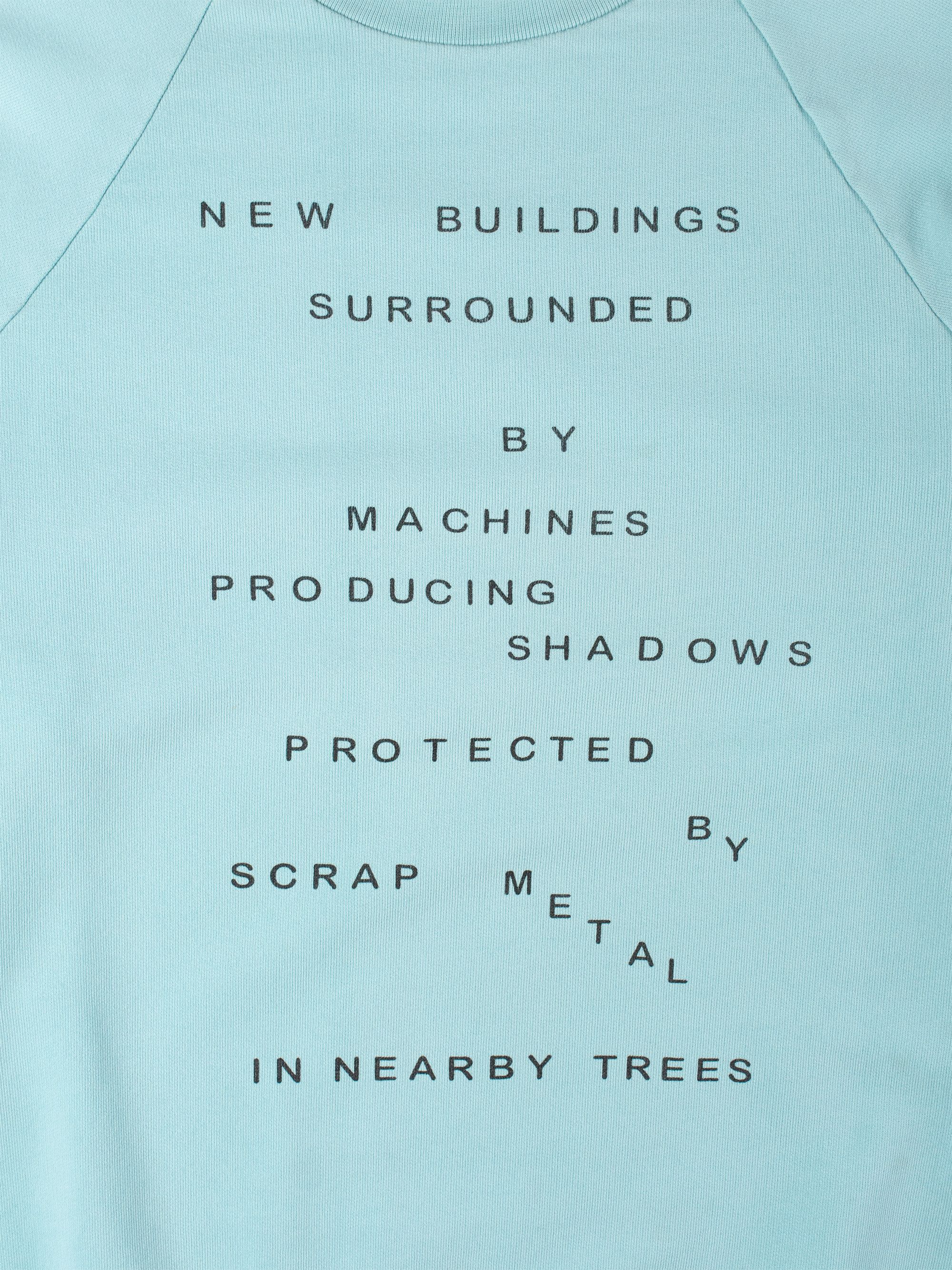 Raf by Raf Simons RAF by Raf Simons - S/S 2006 sample "New Buildings" crewneck Size US XL / EU 56 / 4 - 4 Thumbnail