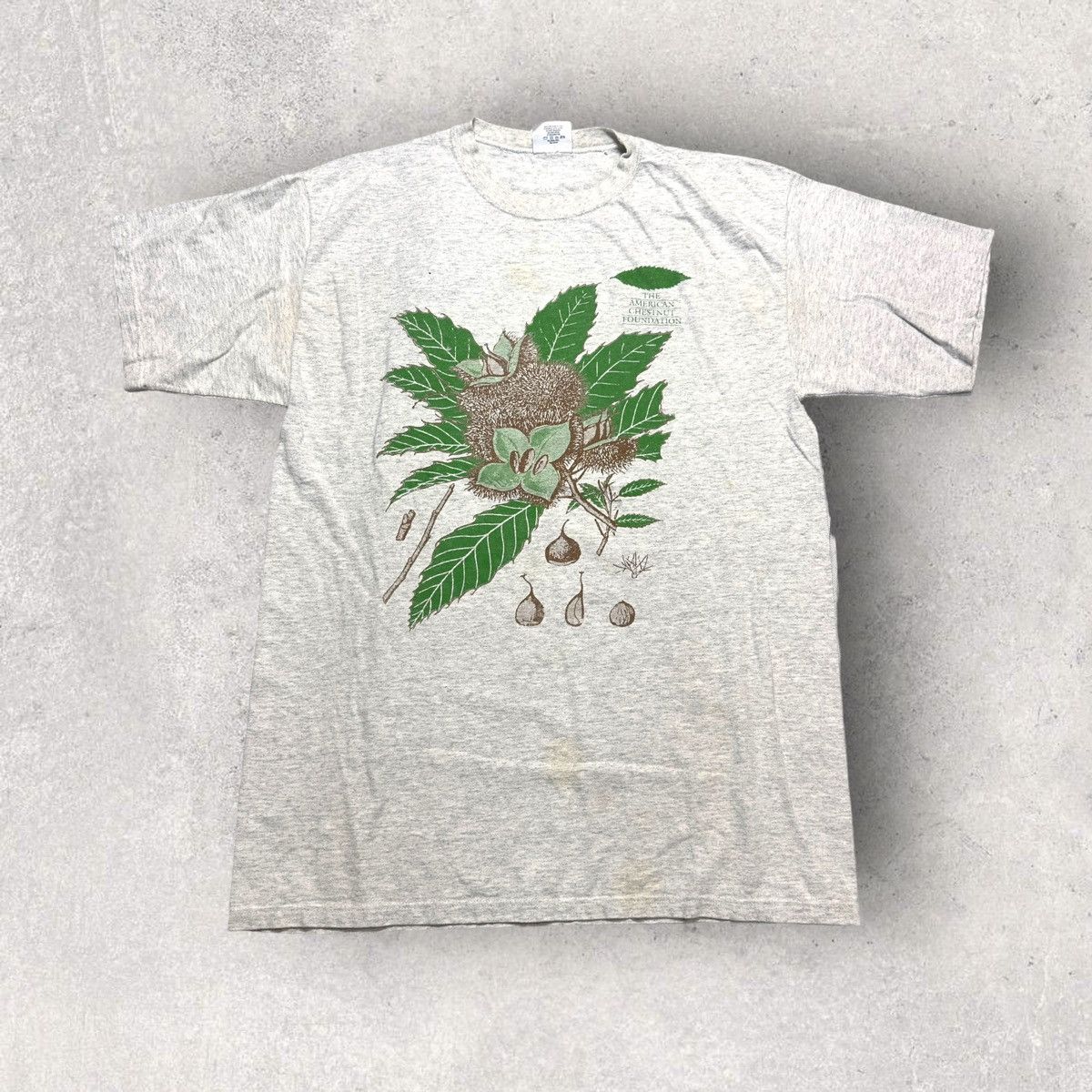 Vintage Vintage American Chestnut Foundation tee Size US M / EU 48-50 / 2 - 1 Thumbnail