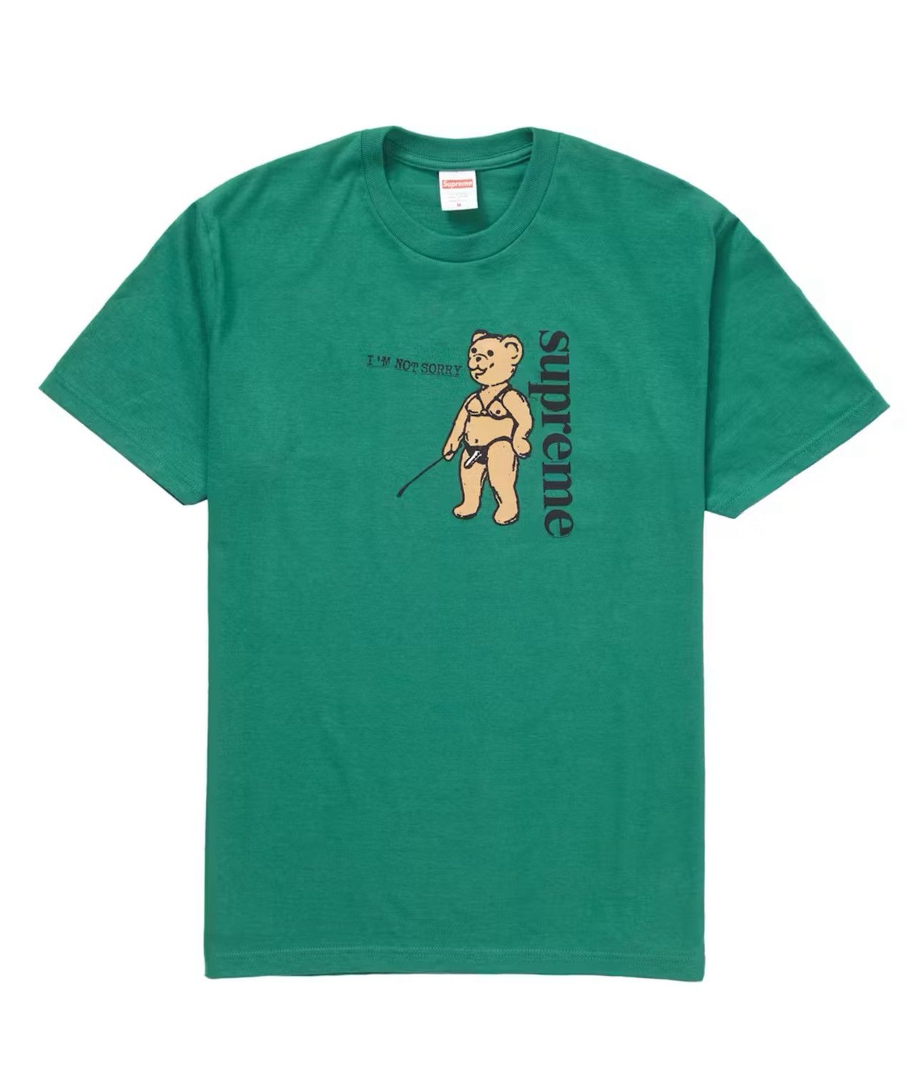 Supreme NOT SORRY TEE light pine green deadstock