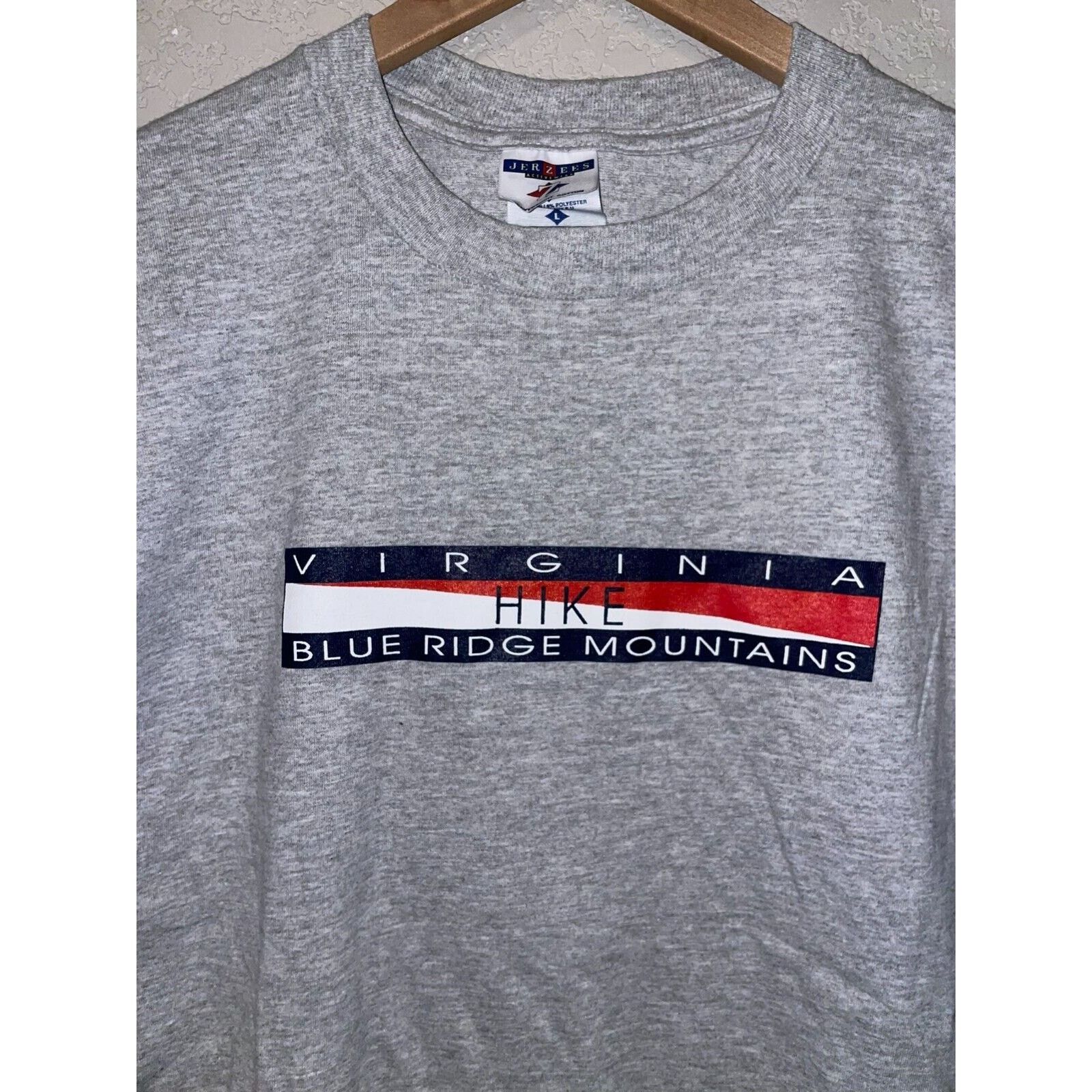 Jerzees Vintage Blue Ridge Montains Shirt Virginia Hike Gray 90s Tee Size US L / EU 52-54 / 3 - 4 Thumbnail